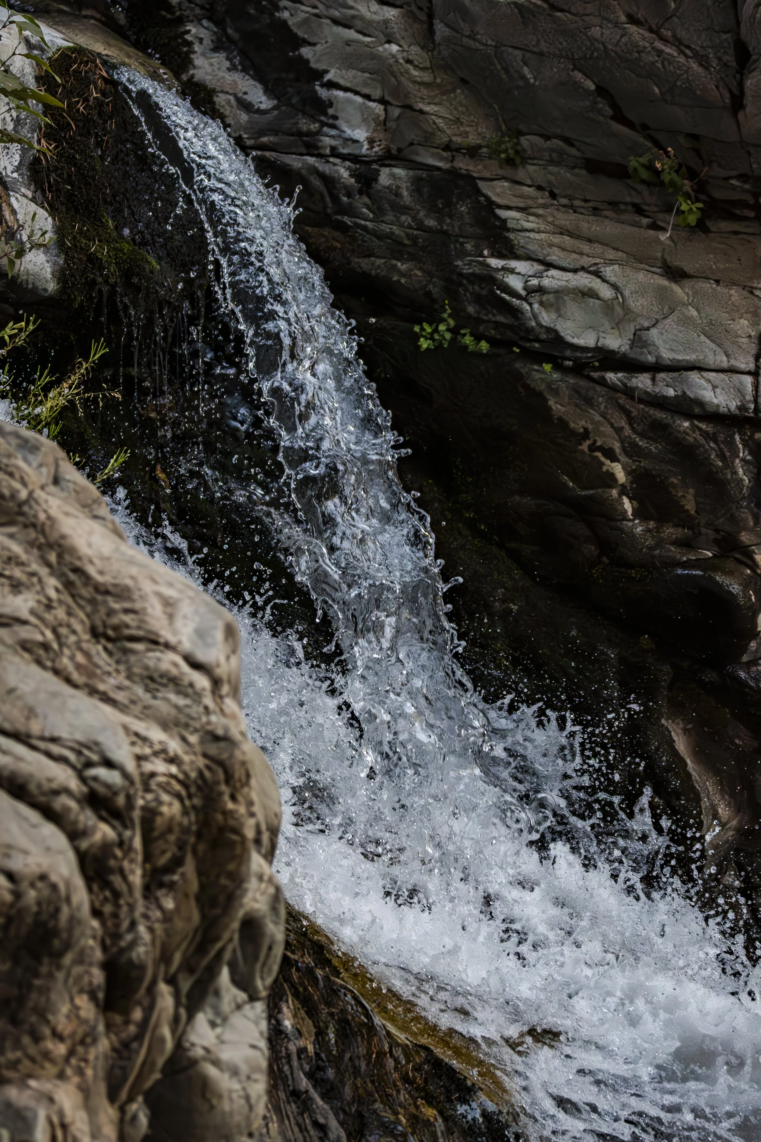 Follow the water with your eyes. Where does your attention naturally want to go?