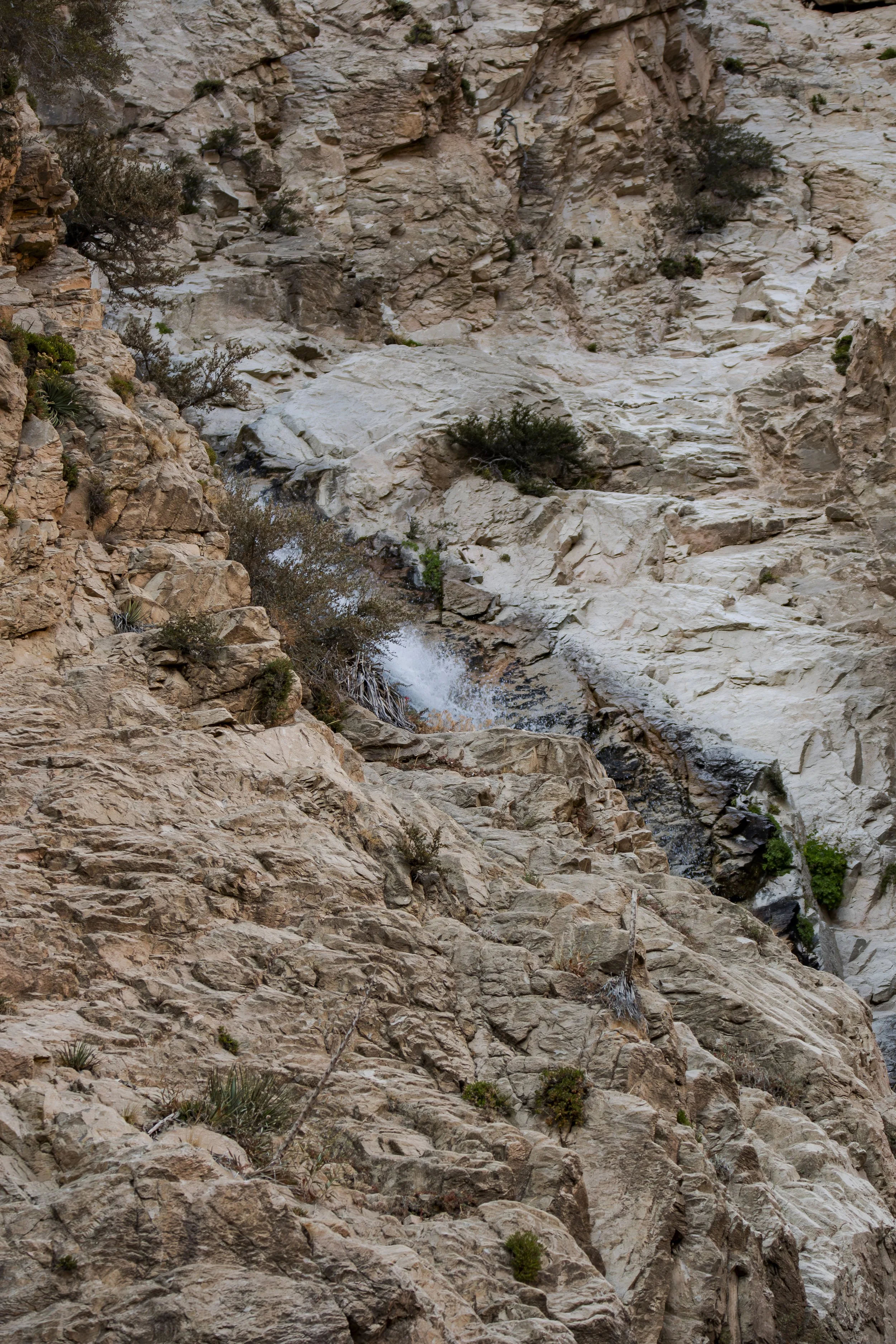 The waterfall is in the background this time. What did your eyes notice first instead?