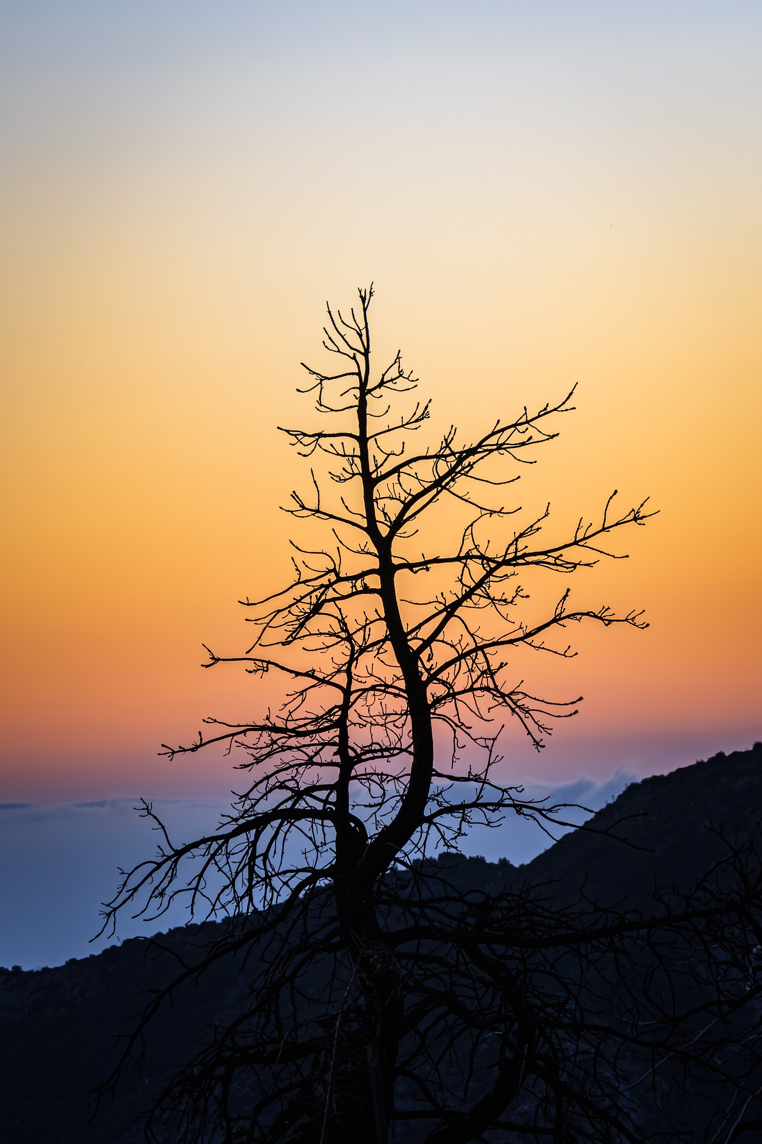 If this landscape had a message for you today, what would it be?