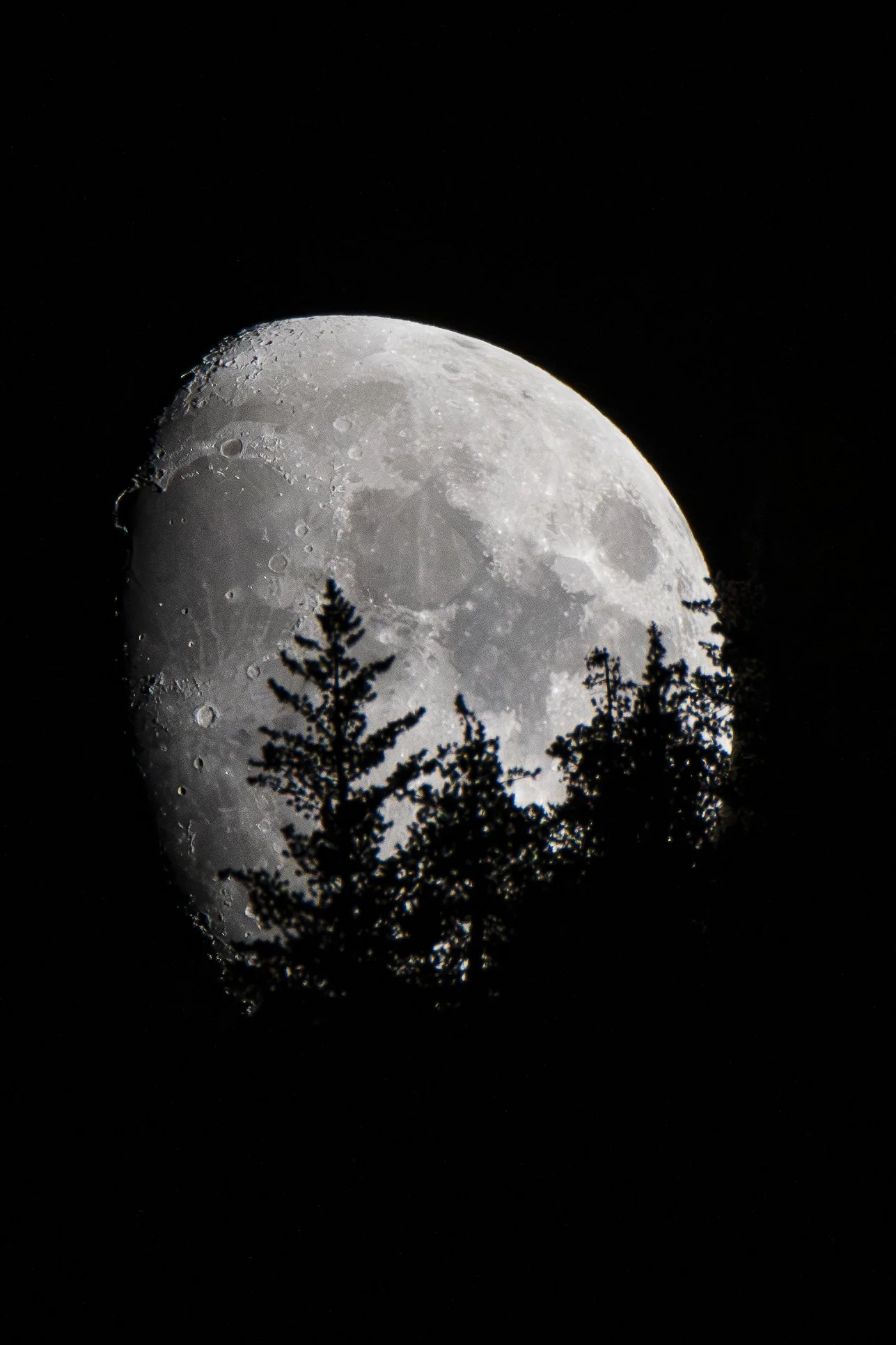 Notice where Earth appears to meet the moon. For a moment, two completely different landscapes seem to become one.