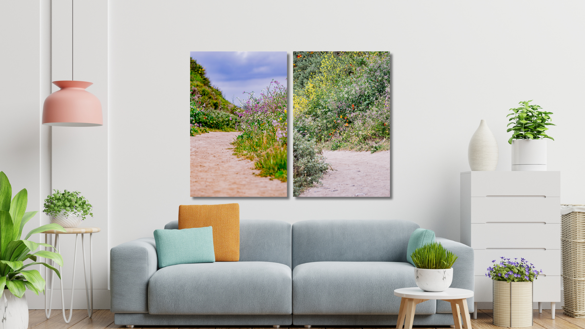 Southern California flower photography featuring colorful blooms and the quiet beauty found in nature.