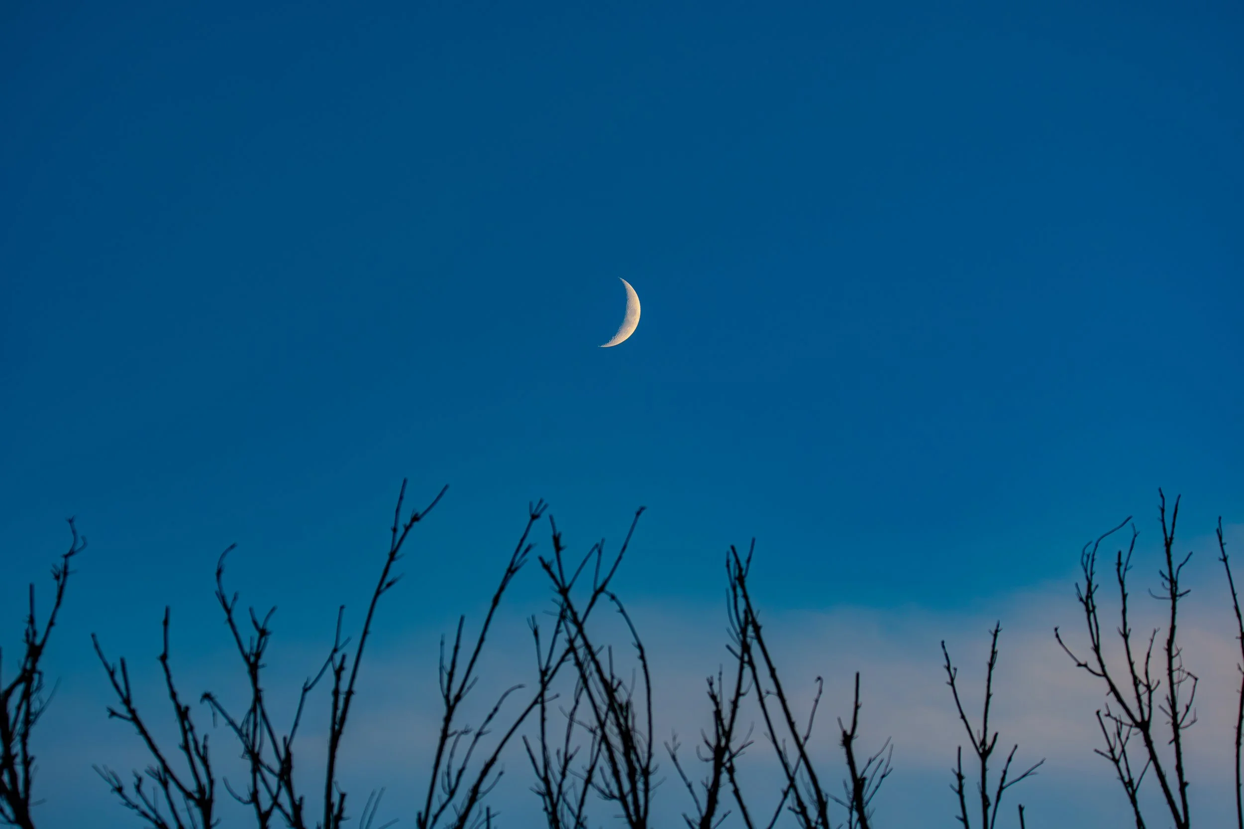 What shape does the moon look like today?
