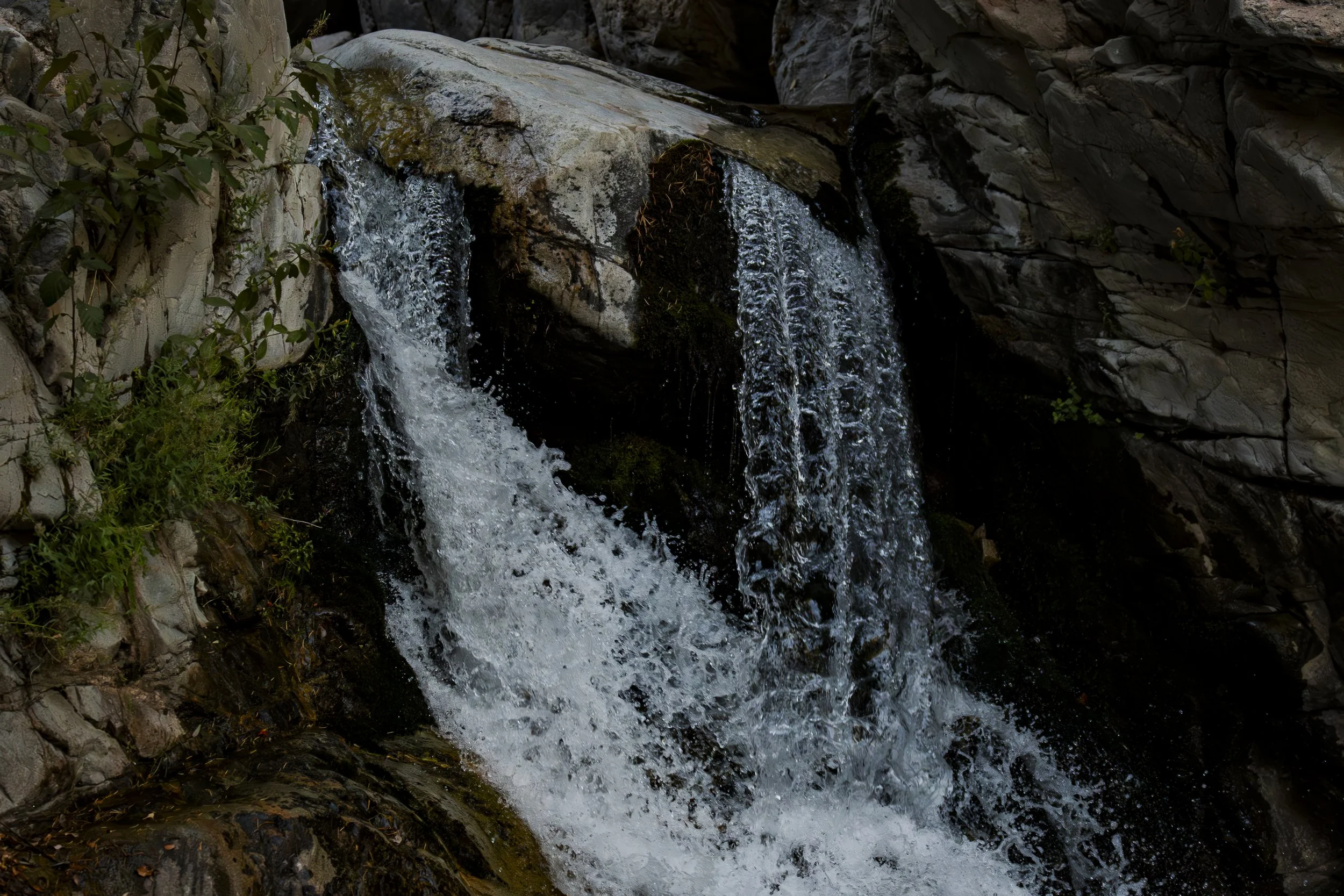 Water never holds the same shape for long. What shapes can you find in this single moment?