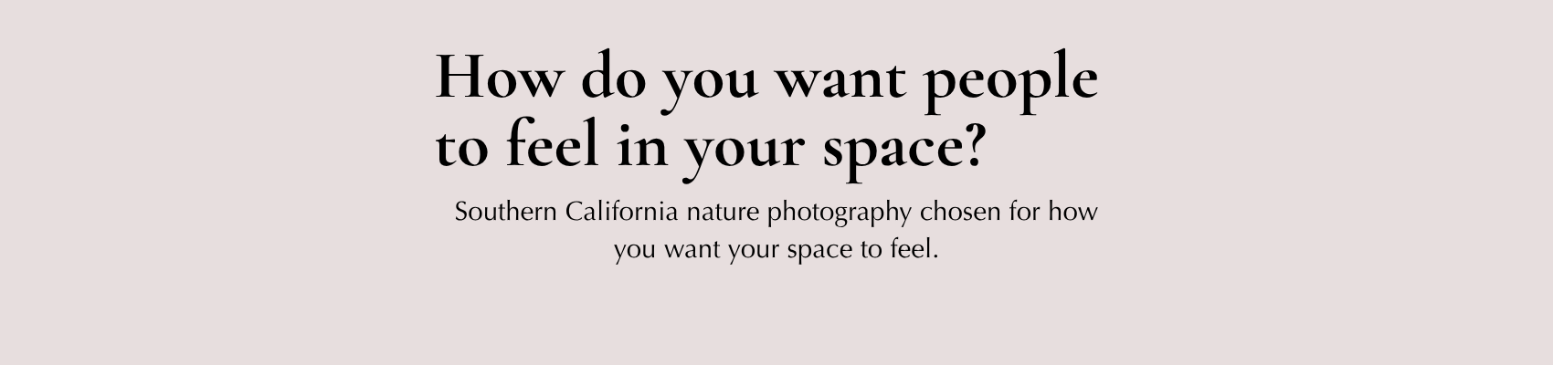 Southern California nature photography chosen for how you want your space to feel.