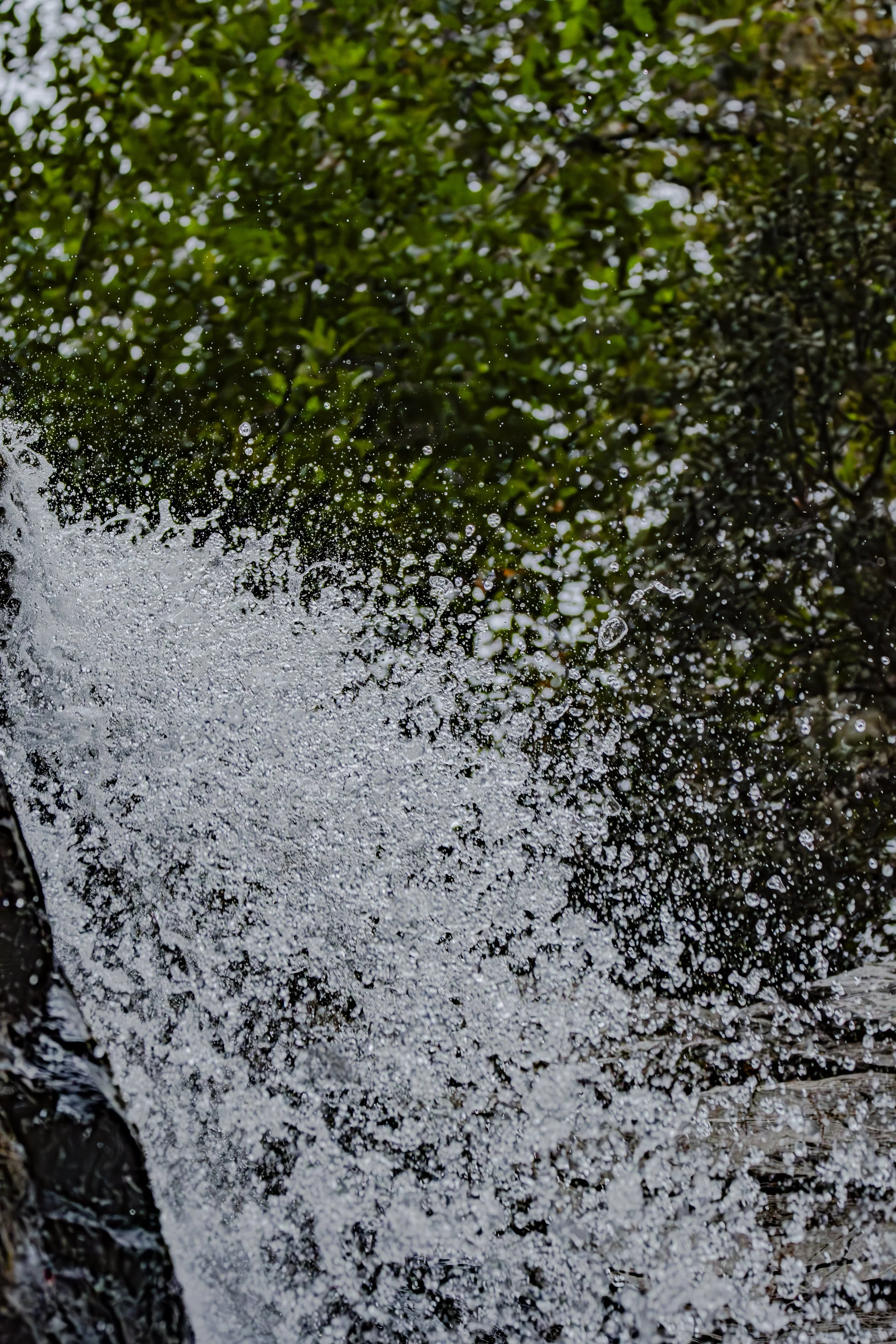 Look at the water drops. How many can you count?