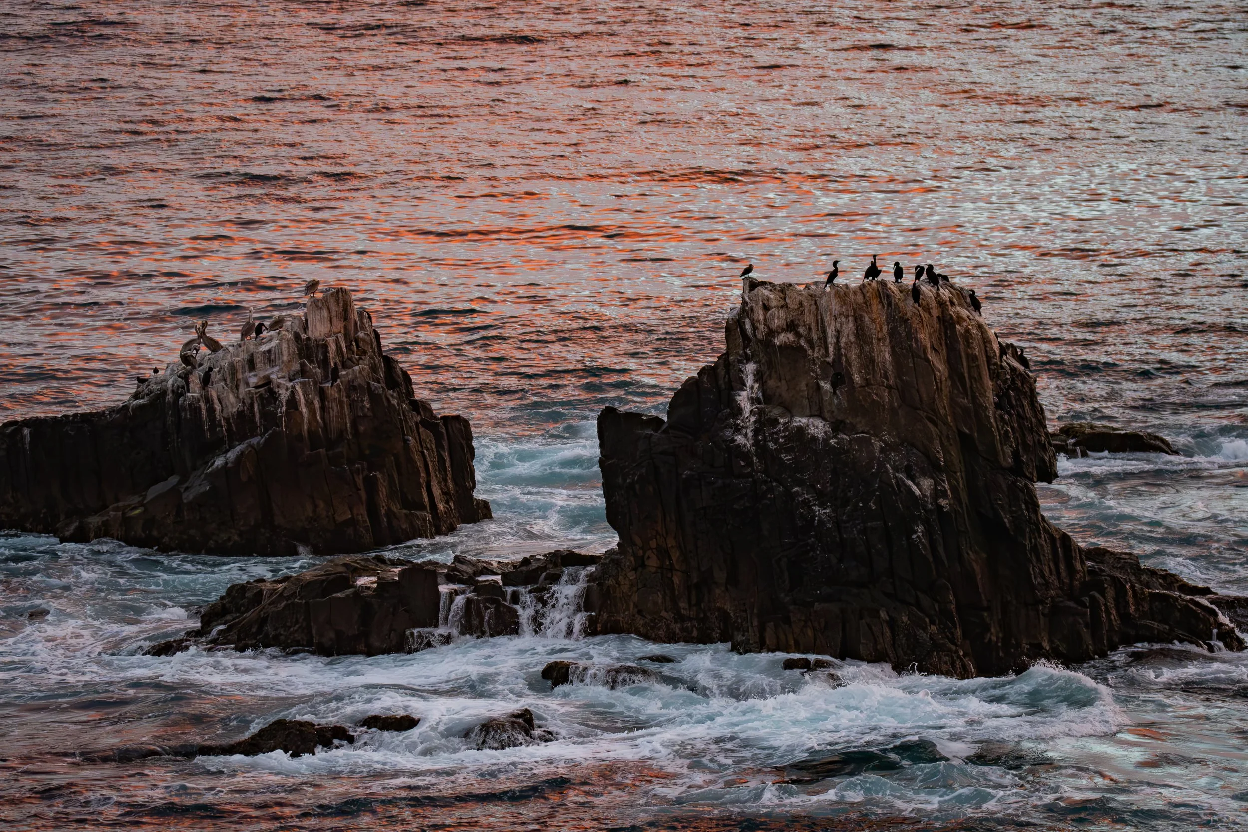 The water is turning orange! Where do you think that color came from?