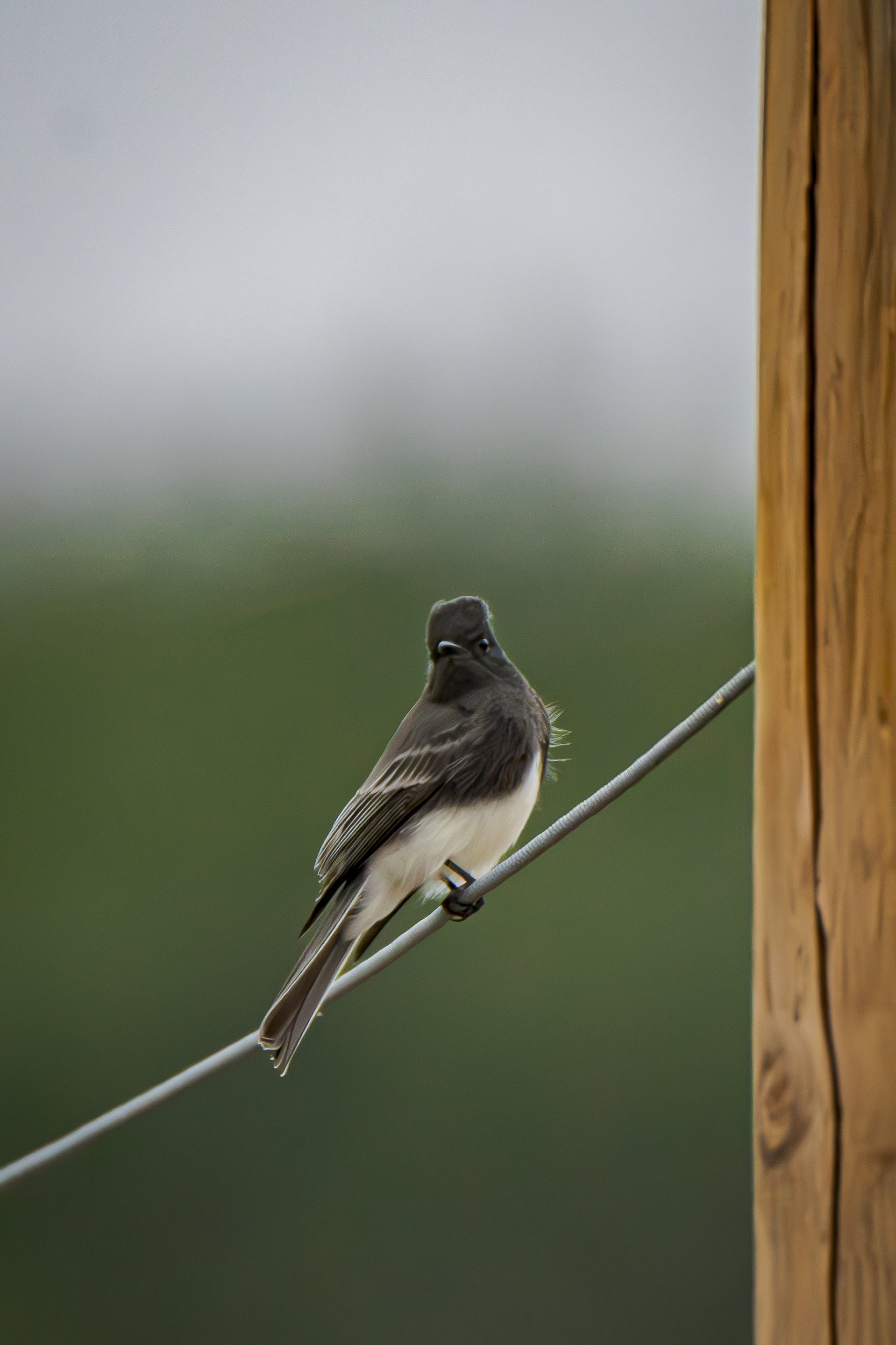 And sometimes, when you stop to observe nature… nature observes you back.