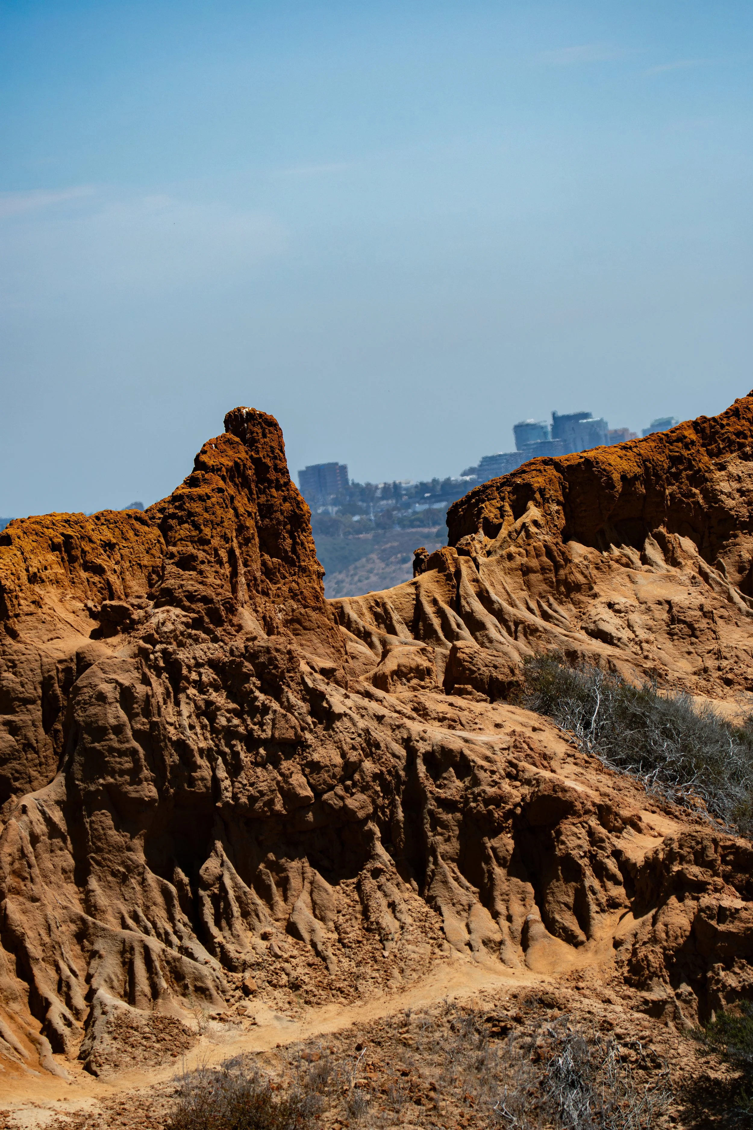 Nature takes its time creating something beautiful. So can you.