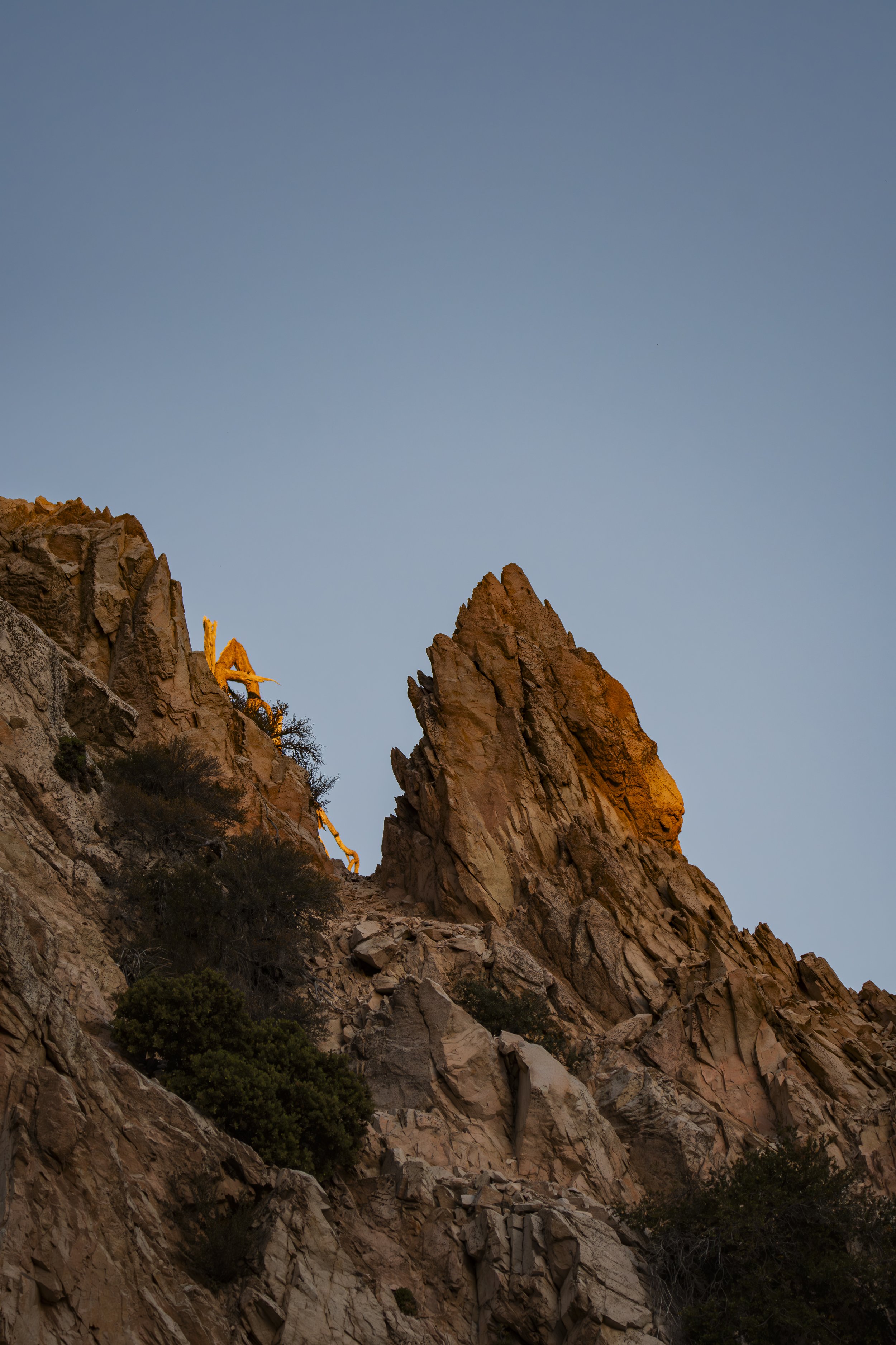 Can you find the places where sunlight and shadow meet?
