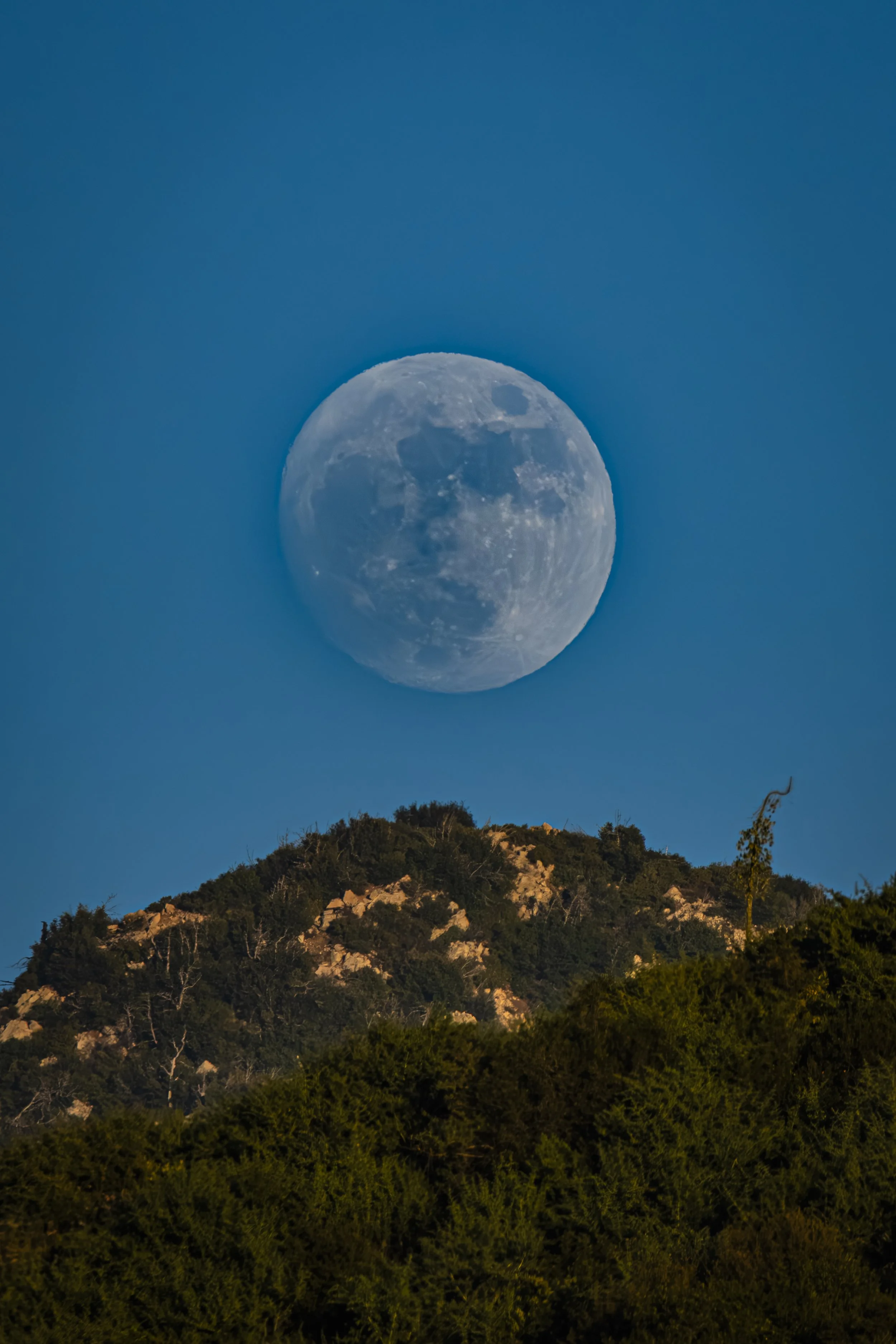 Take a deep breath. What do you notice around the moon before you notice the moon itself?
