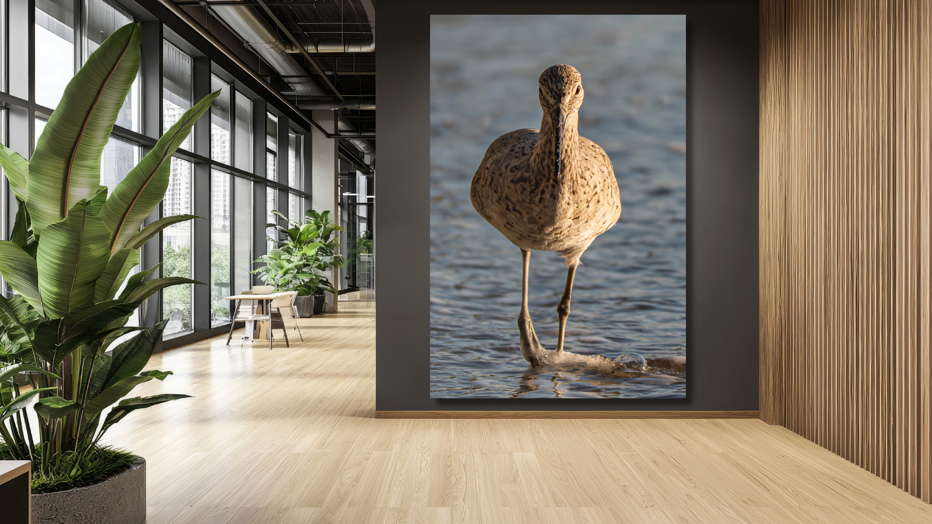 Southern California wildlife photography created to bring nature into everyday spaces.