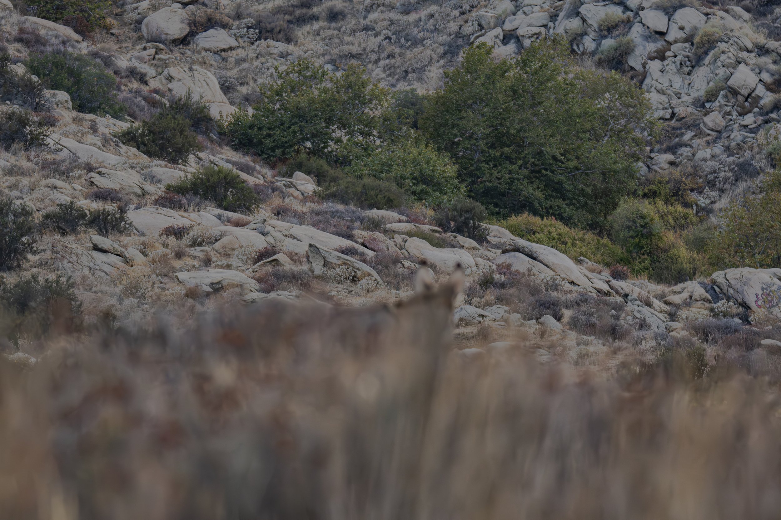 Take a deep breath. What can you find hiding?