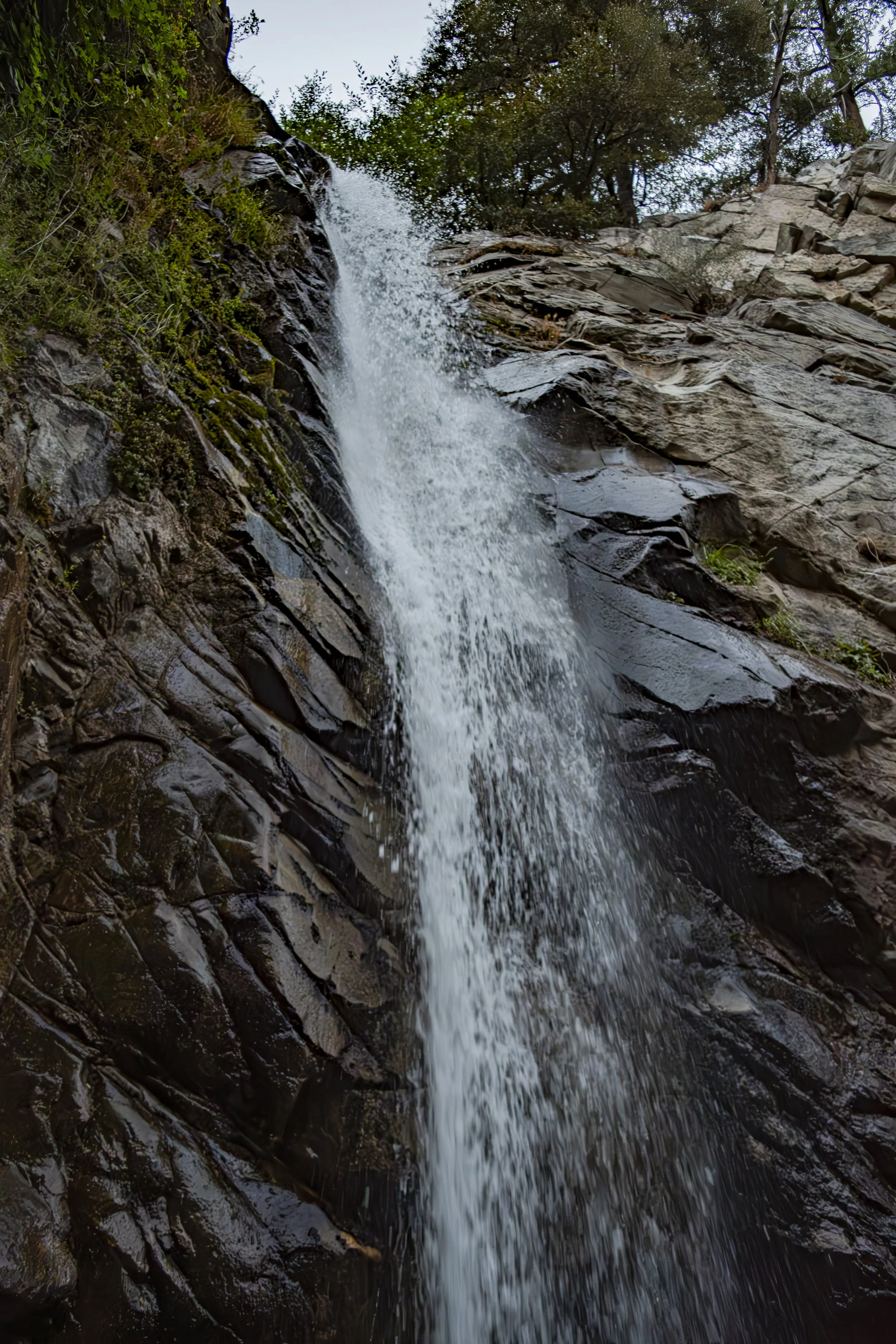 Look at the water drops. How many can you count?