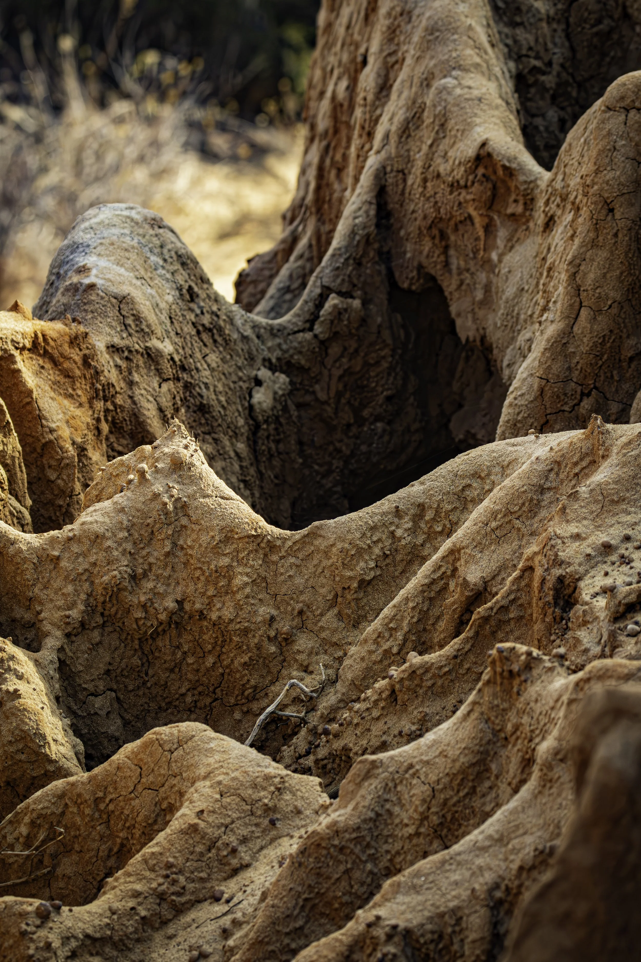 Every crack, curve, and texture tells part of a story. 