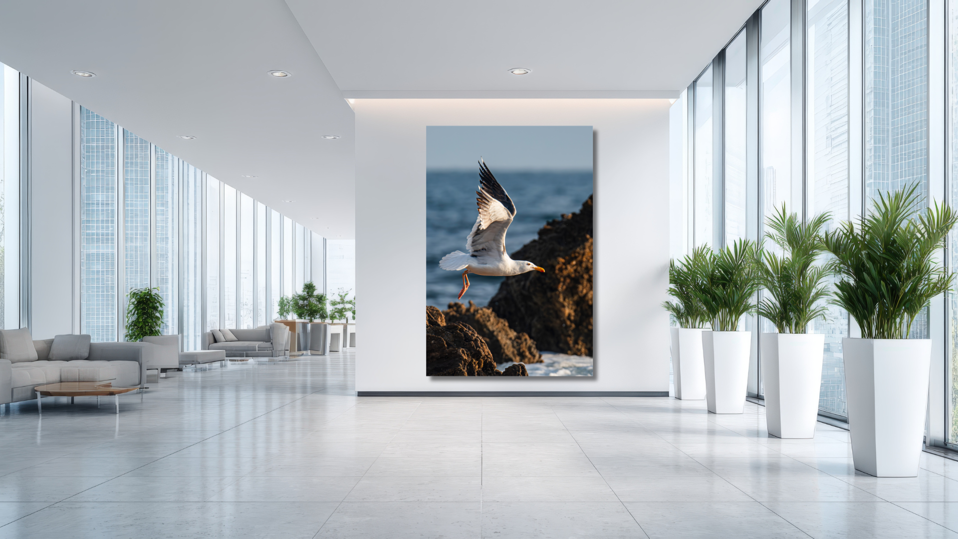 Southern California wildlife photography created to bring nature into everyday spaces.