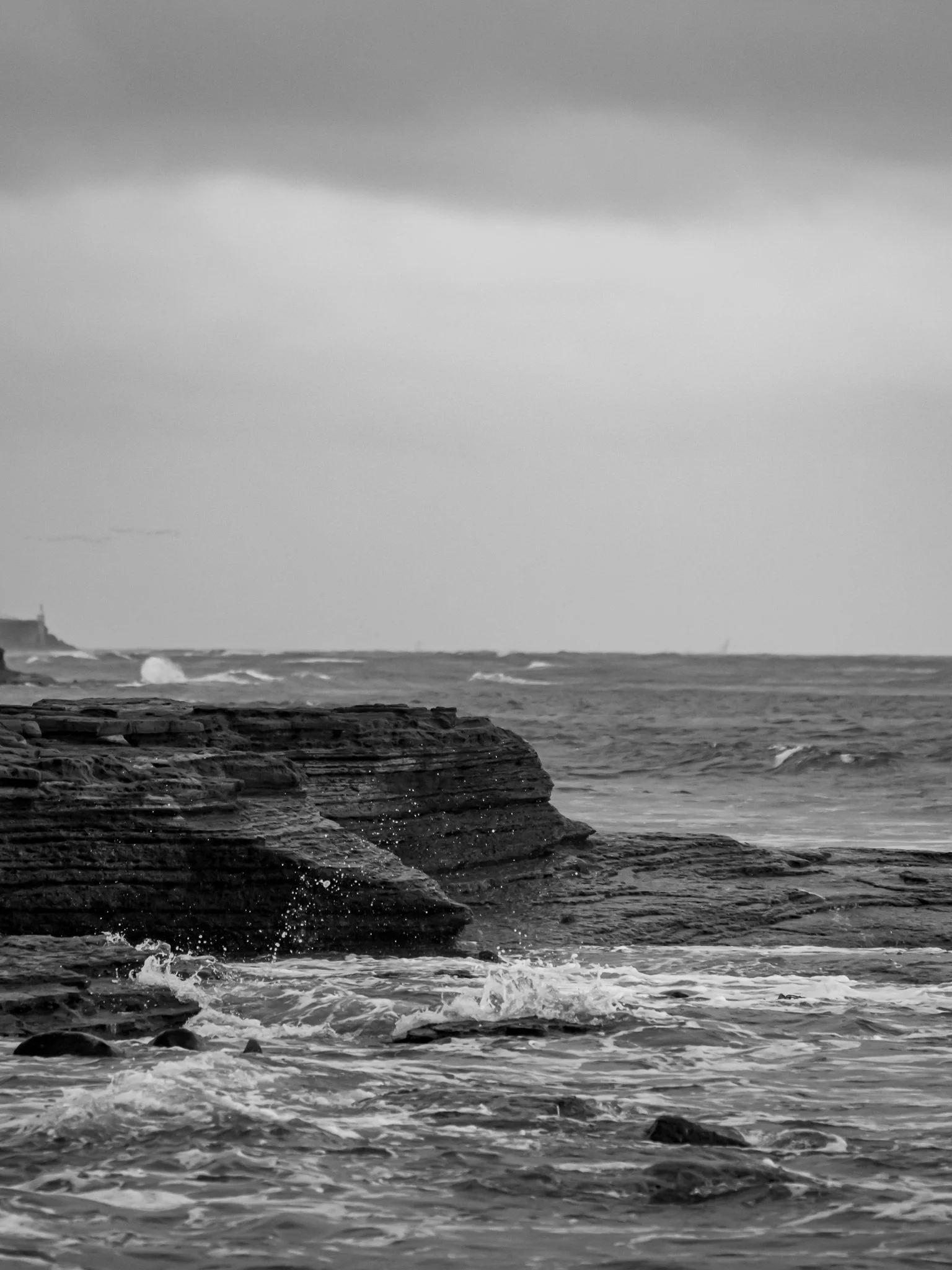 DSC_0661.jpg