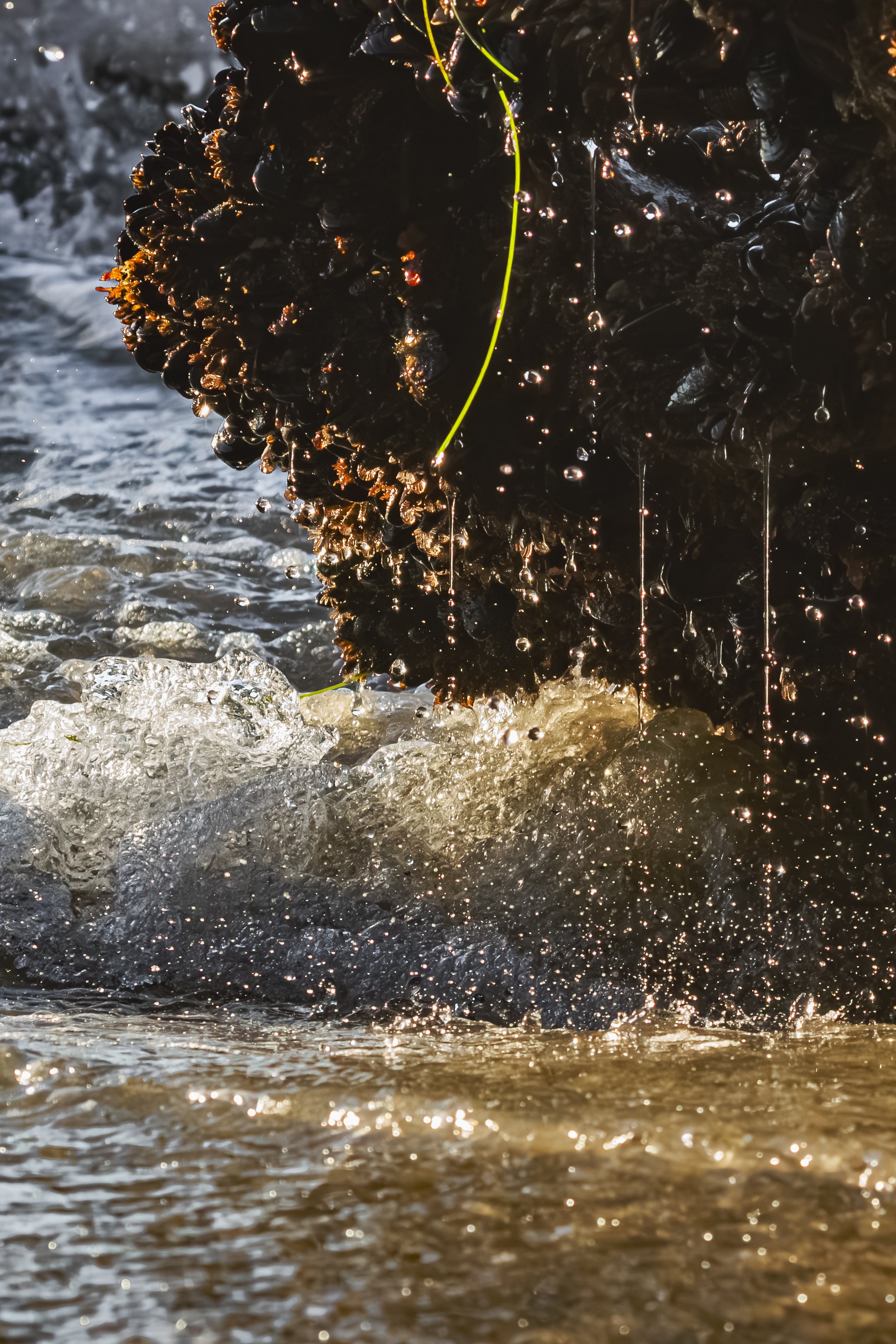 How many streams of water can you count?