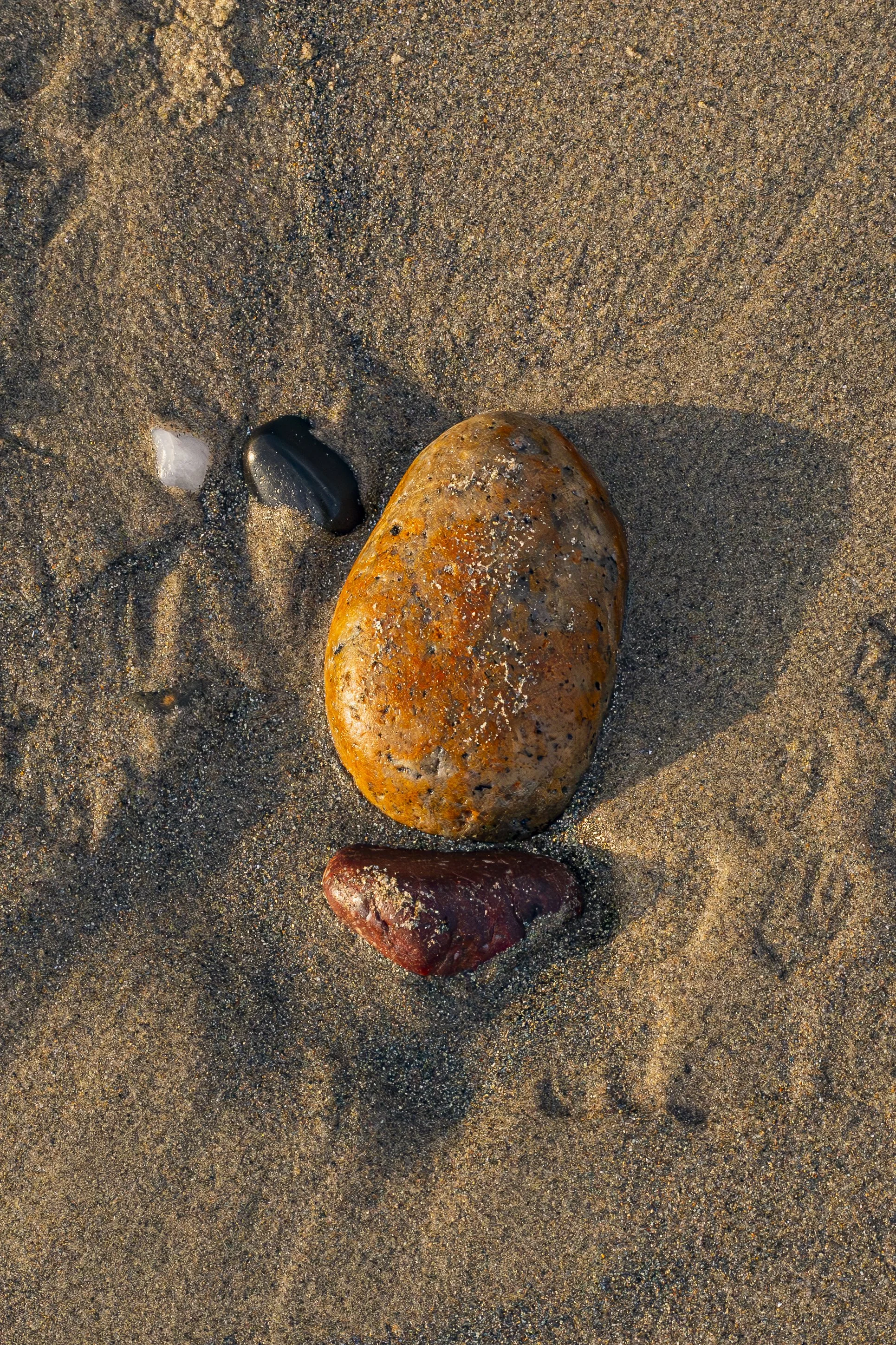Sometimes nature smiles back.