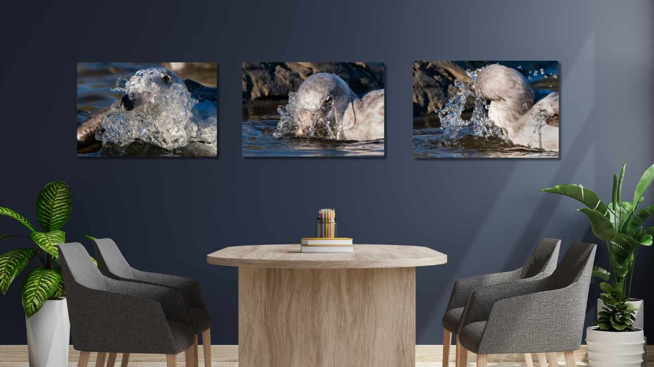 Offices

Nature imagery can help create a calm and supportive environment where clients feel safe, grounded, and able to reflect.

Perfect for:
• counseling rooms
• therapy practices
• wellness centers
