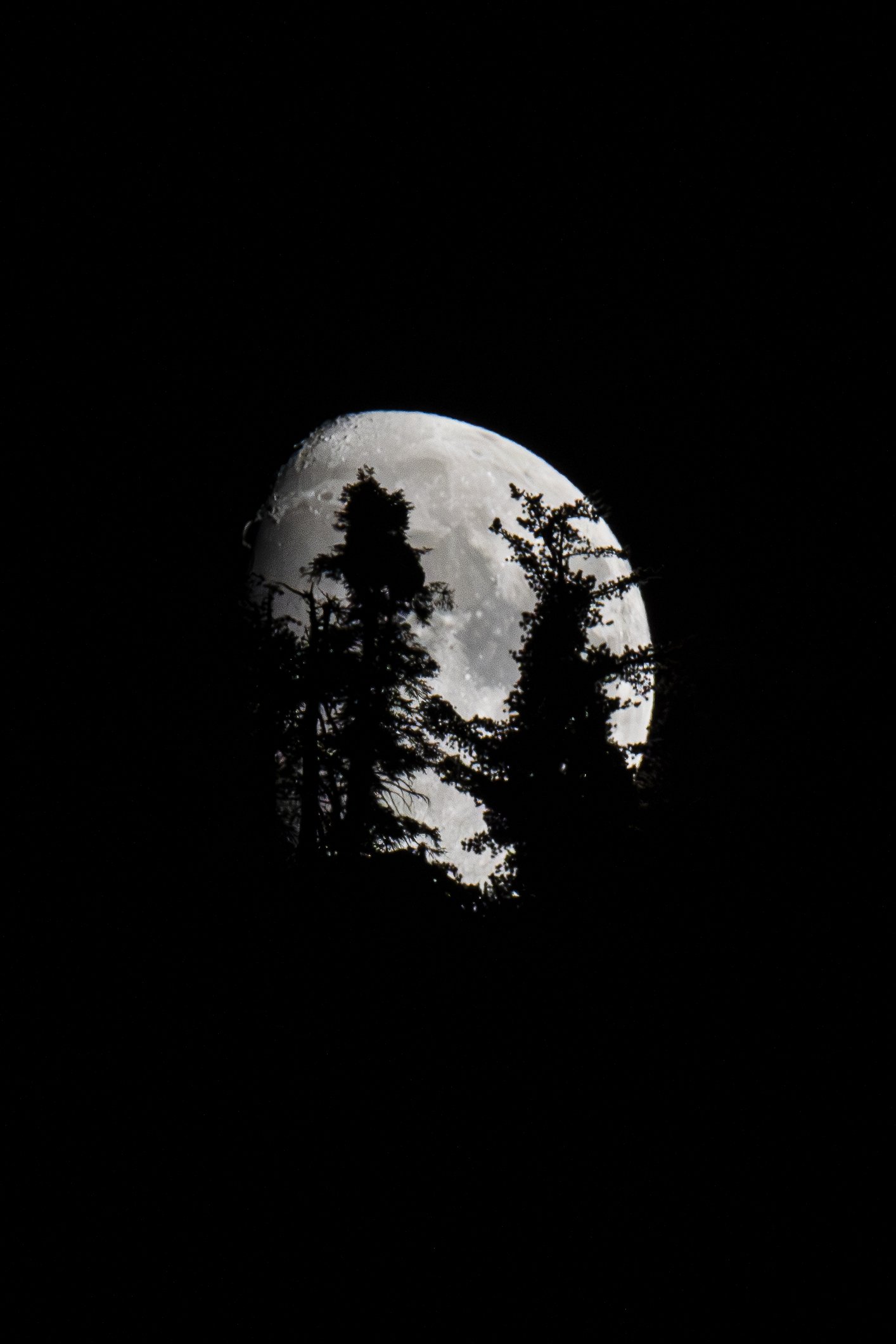 The moon hasn't changed, but the view has. How much can perspective change what we see?