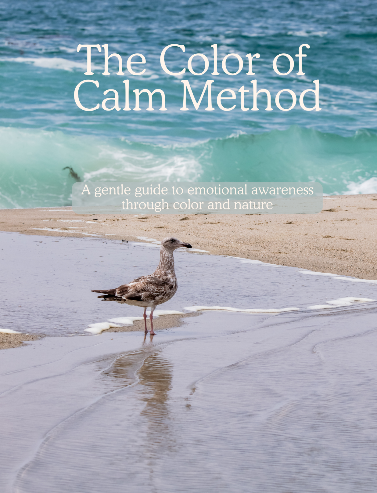 The Color of Calm Method journal featuring original Southern California beach photography with a seagull standing along the shoreline. Mindfulness journal created by a school psychologist using nature photography to promote emotional wellness.