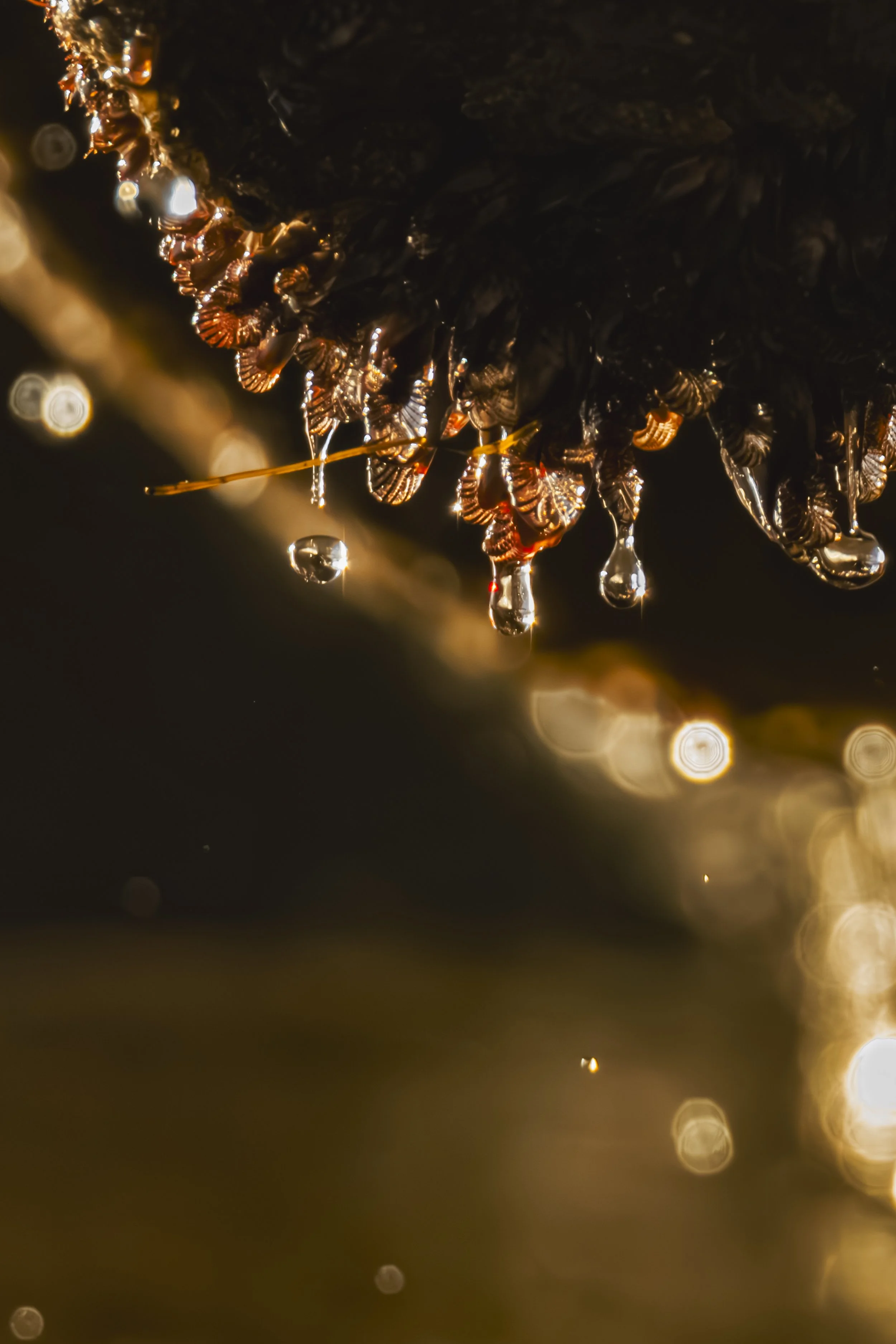 Take a deep breath, how many droplets can you count?
