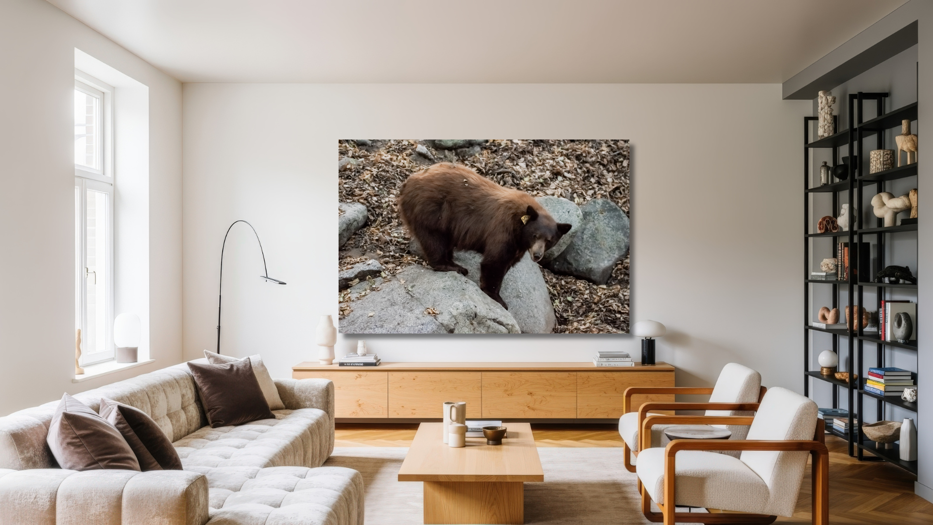 Southern California wildlife photography created to bring nature into everyday spaces.
