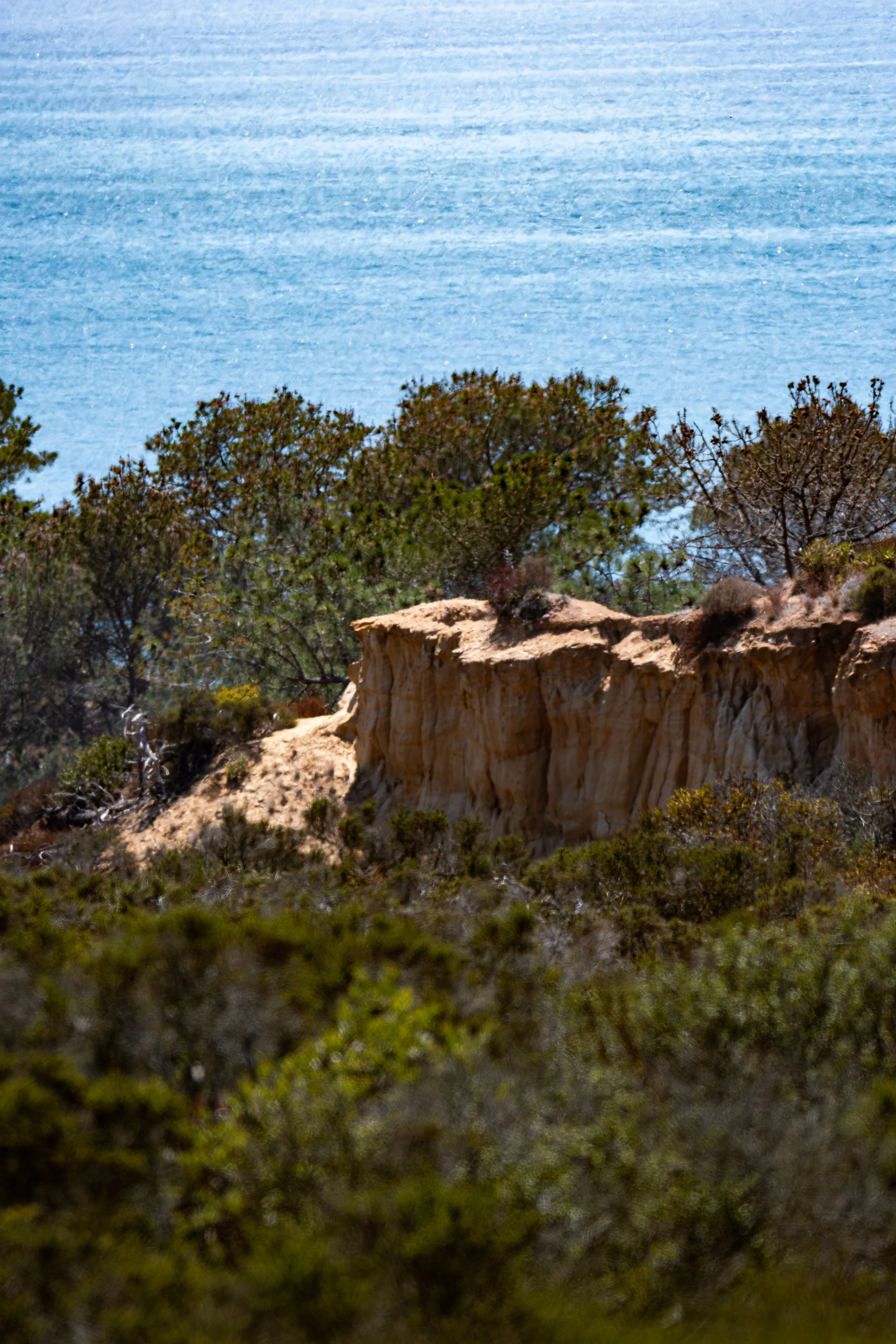 Can you see the layers carved into the cliff? What do you think shaped them over time?