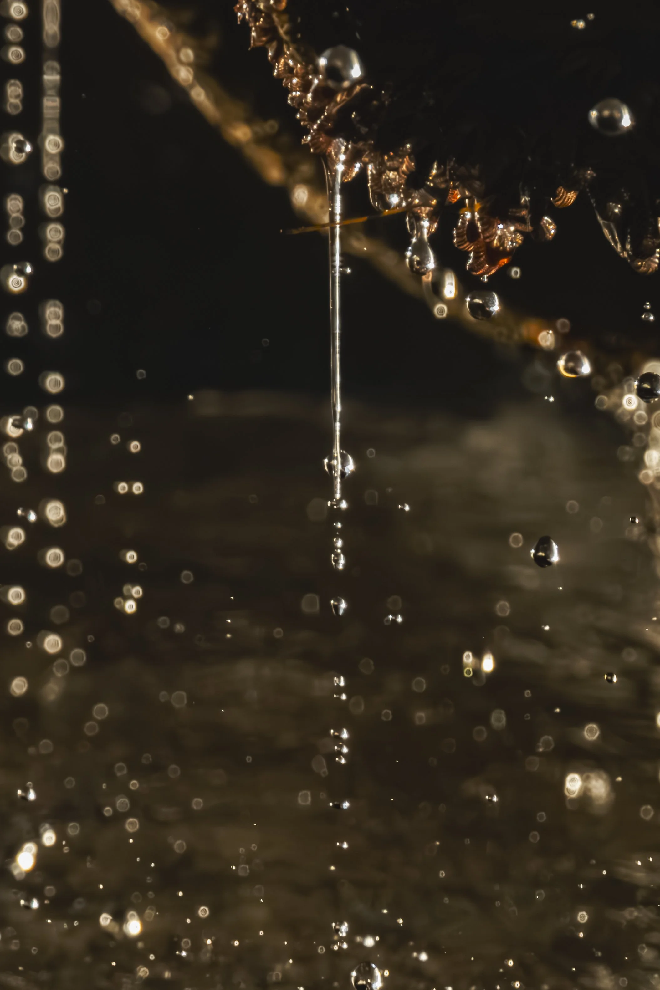 Pause and follow the water stream from top to bottom.
