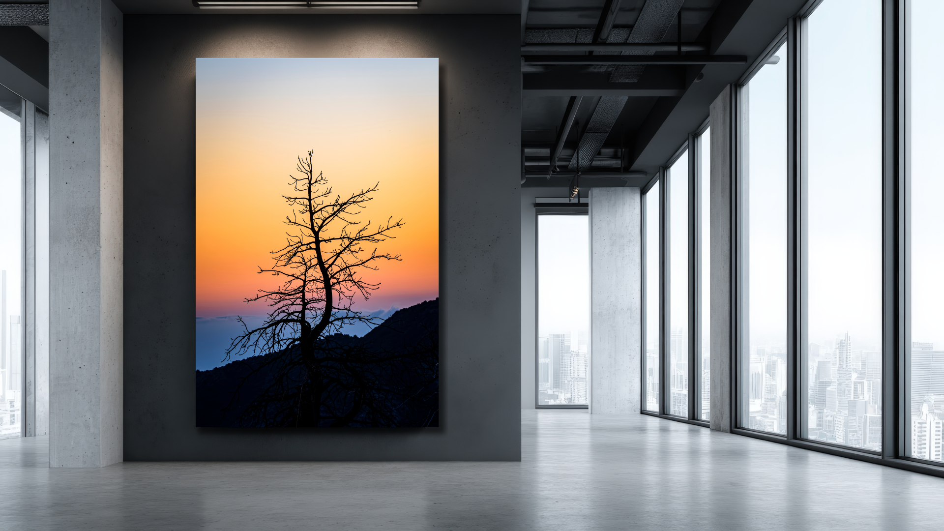 Southern California nature photography featuring warm sunlight, golden landscapes, and the natural beauty of the earth.