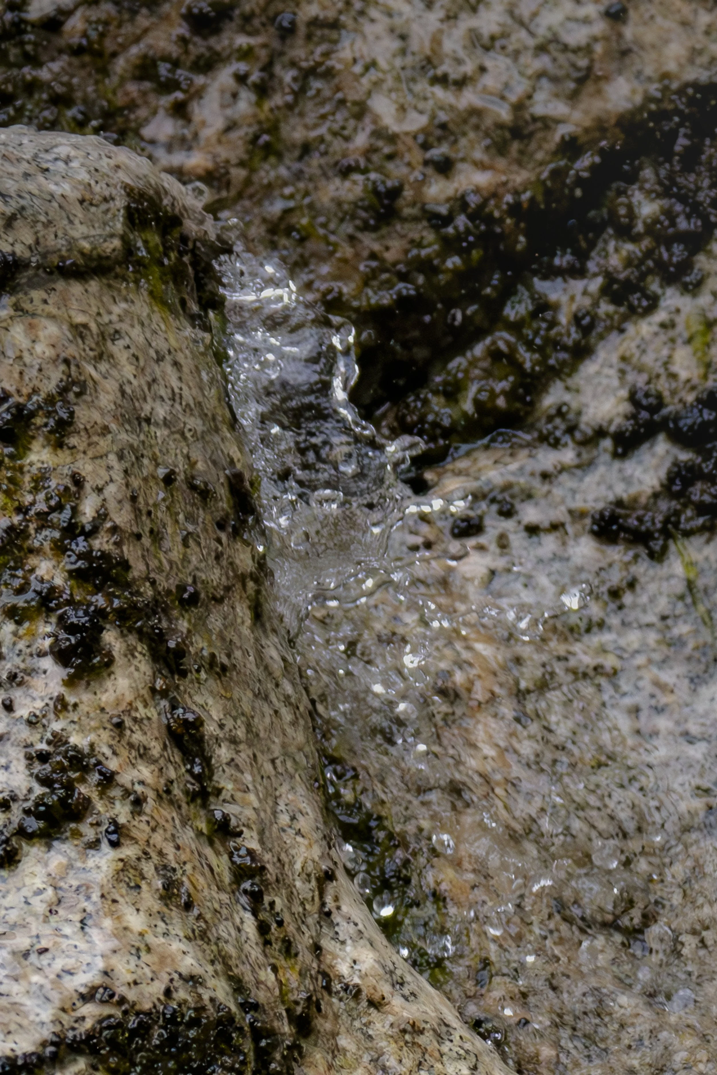 Take a deep breath. Follow the water with your eyes from top to bottom.