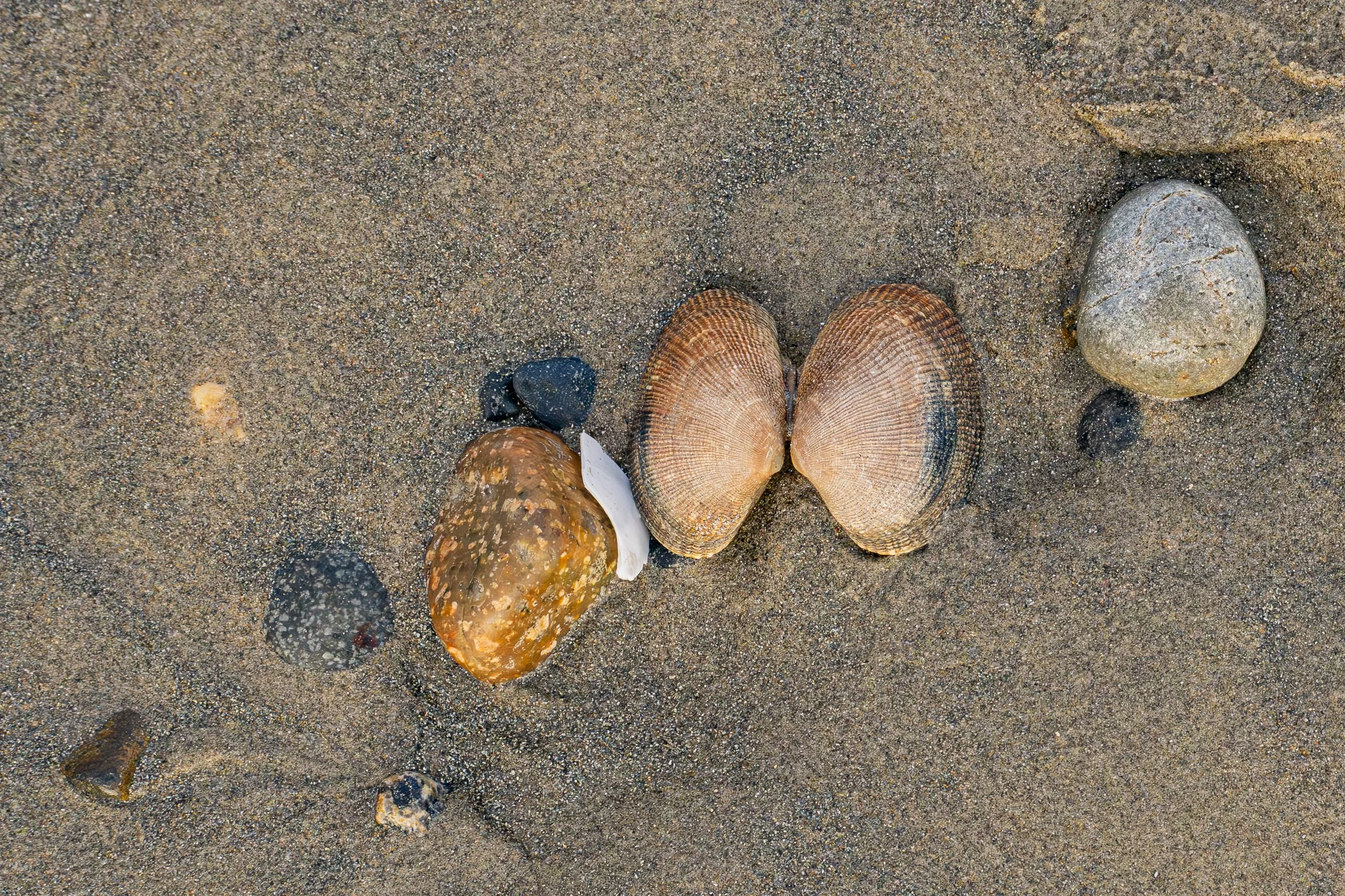 Take a deep breath. What tiny details tell the biggest stories?