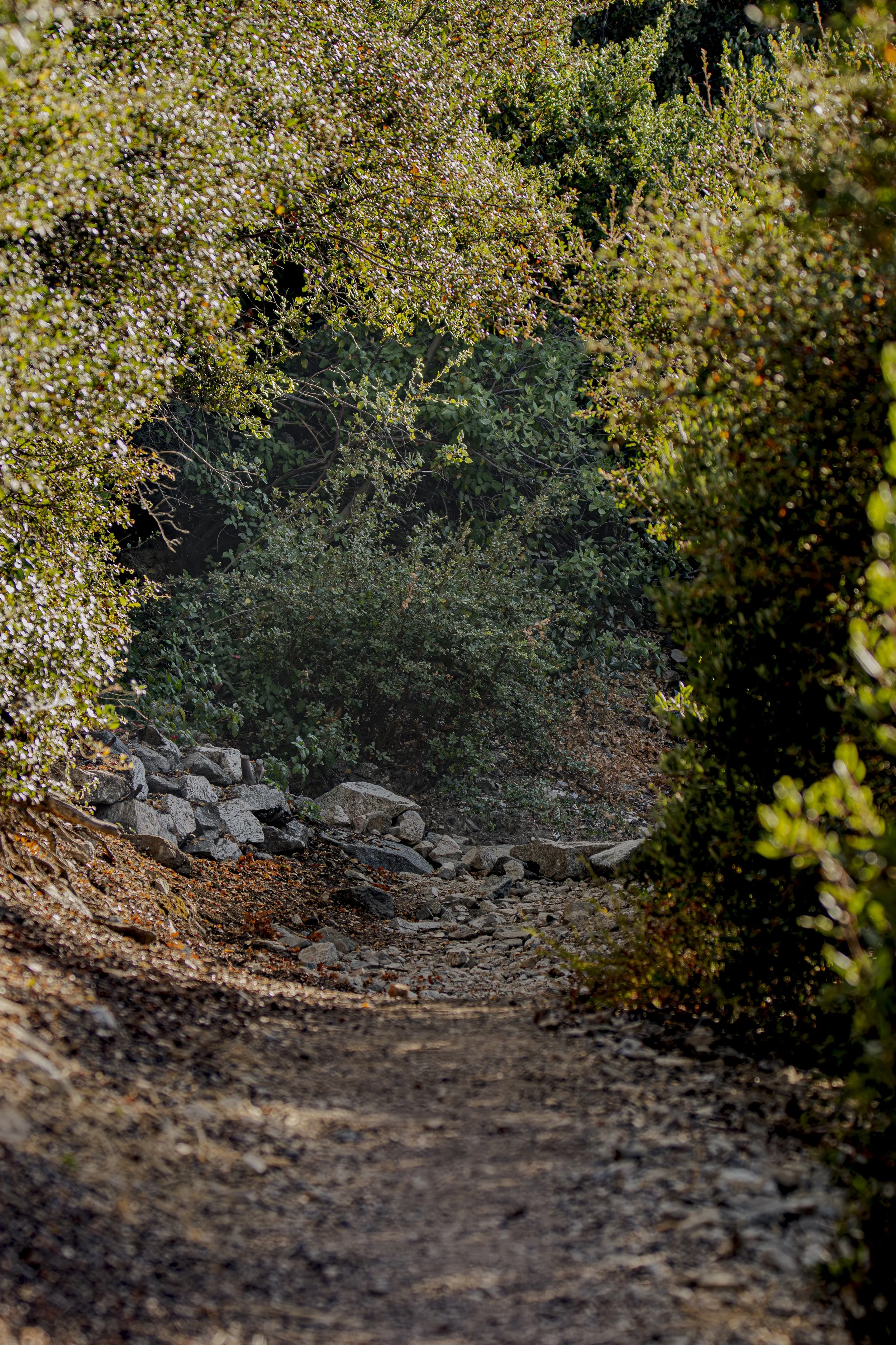 If this landscape had a message for you, what would it be?
