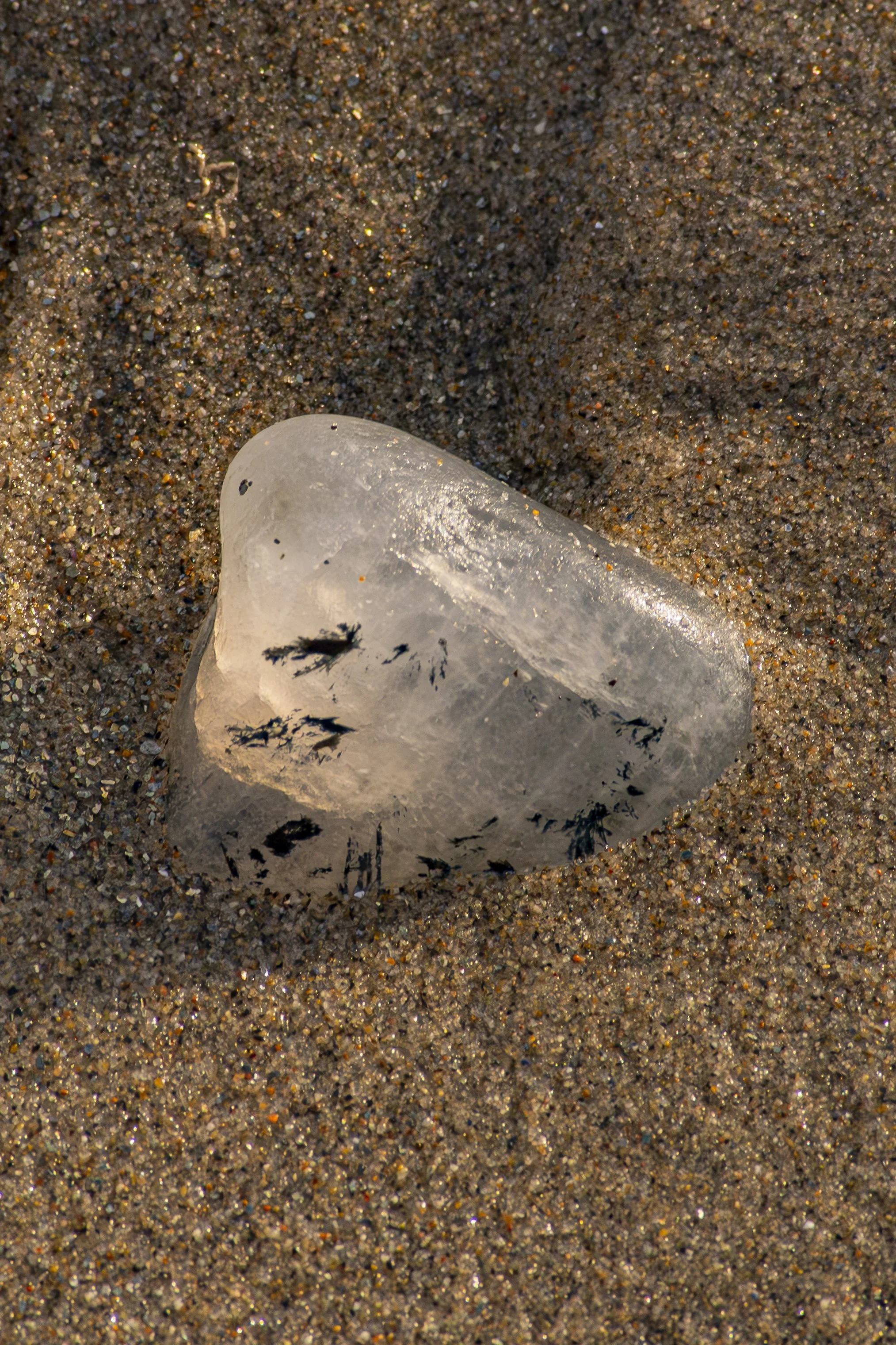 Look closer. What details become visible through the light?
