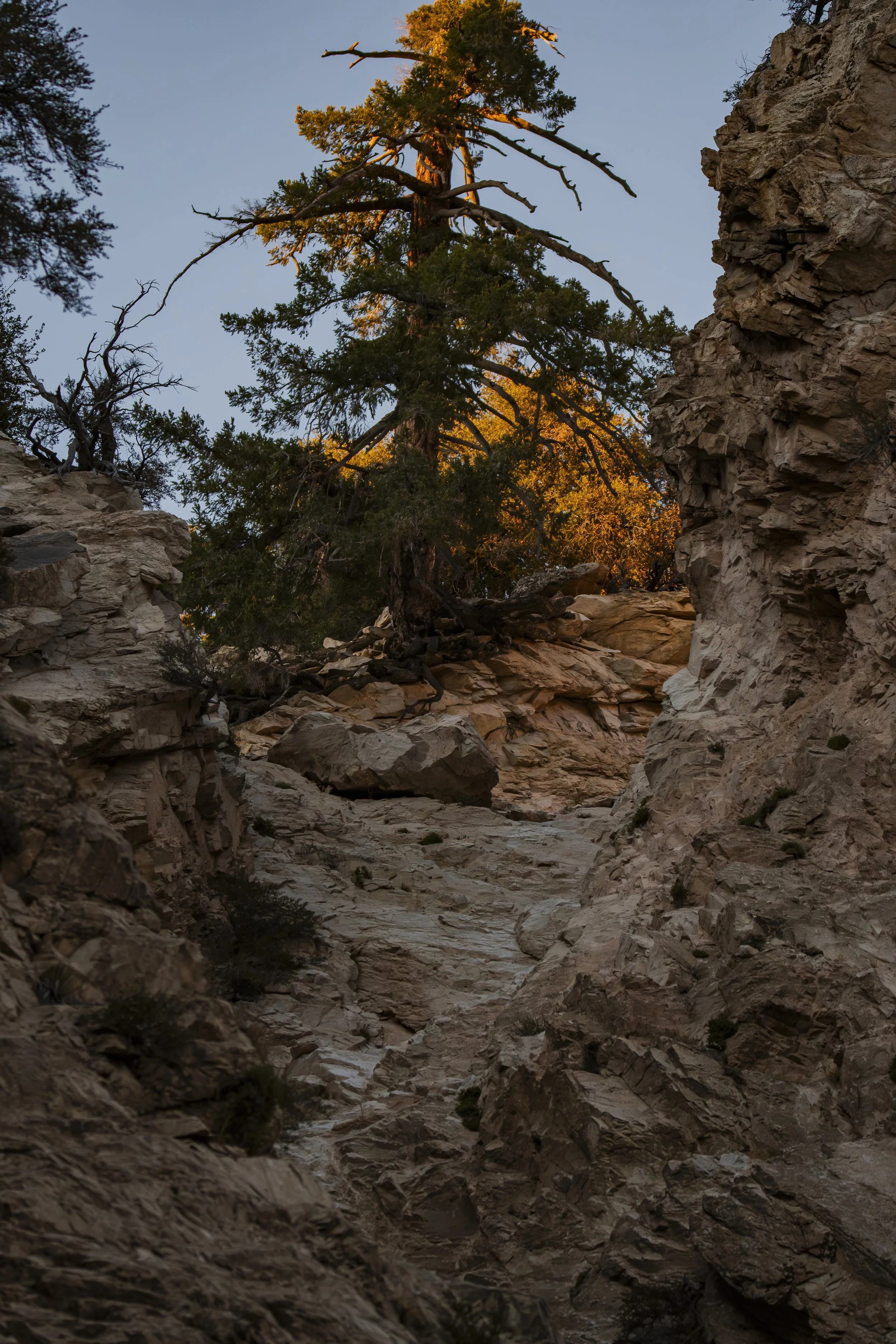 The light is almost gone. What details become easier to notice when the brightest part of a scene disappears?
