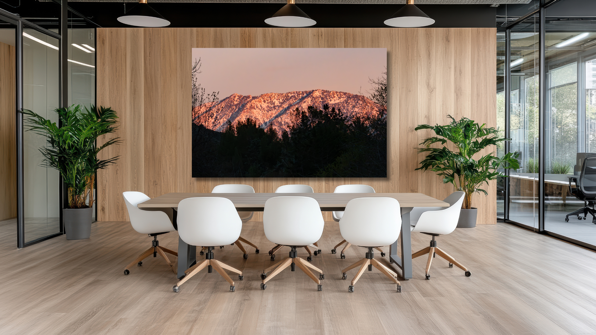 Southern California nature photography featuring warm sunlight, golden landscapes, and the natural beauty of the earth.