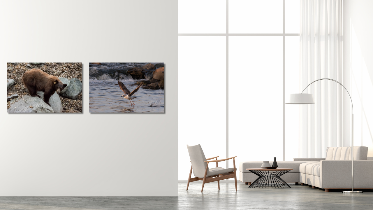 白 写真 シンプル zoom背景 (1).png