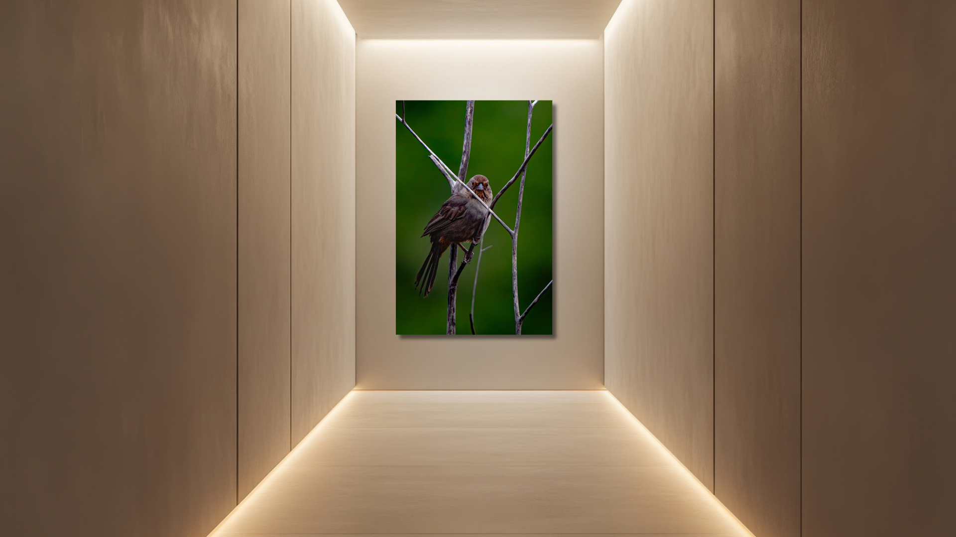 Untitled design - 2026-09-22T134607.220.png