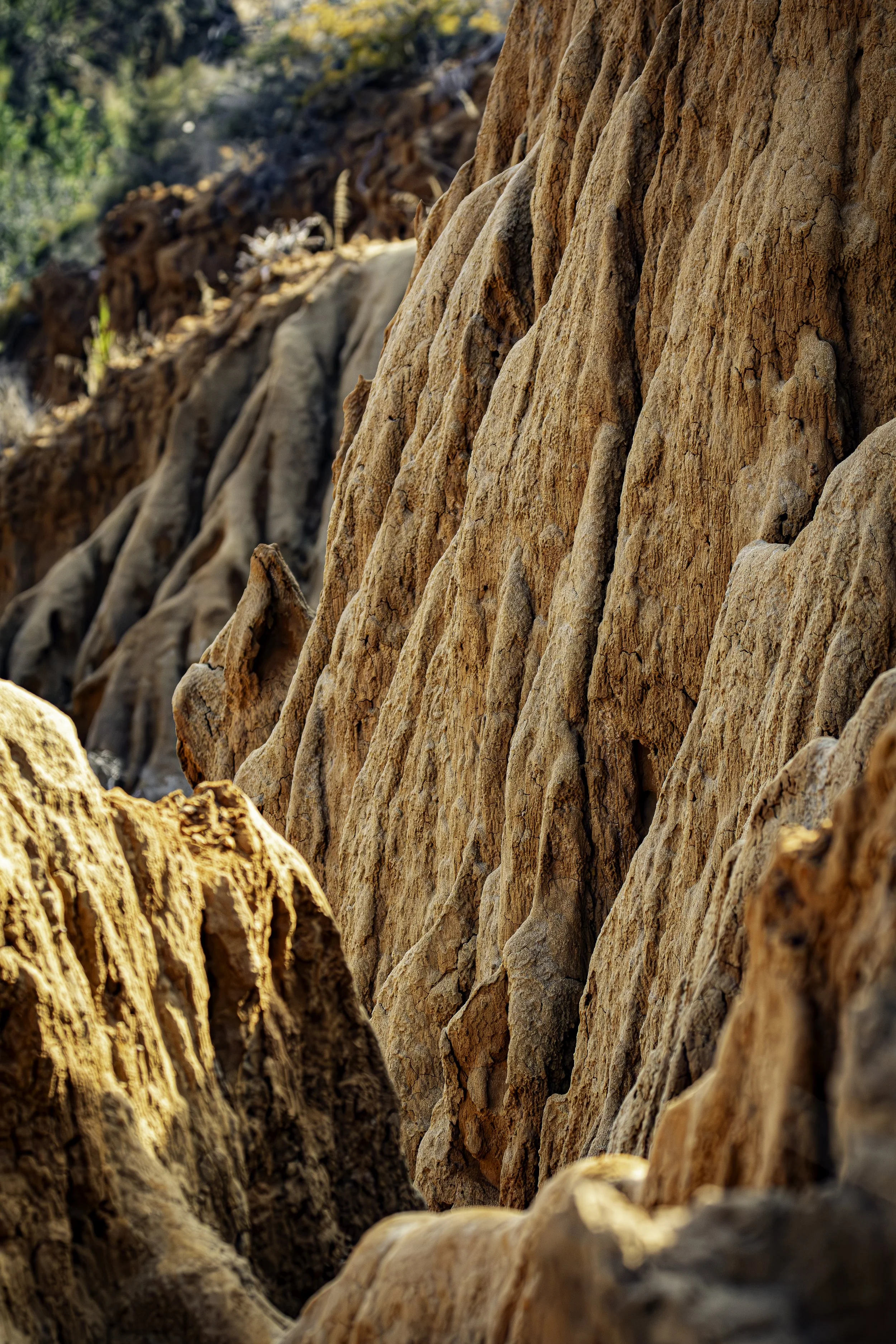 From a distance, it's just a mountain. Up close, it's an entire world waiting to be discovered.