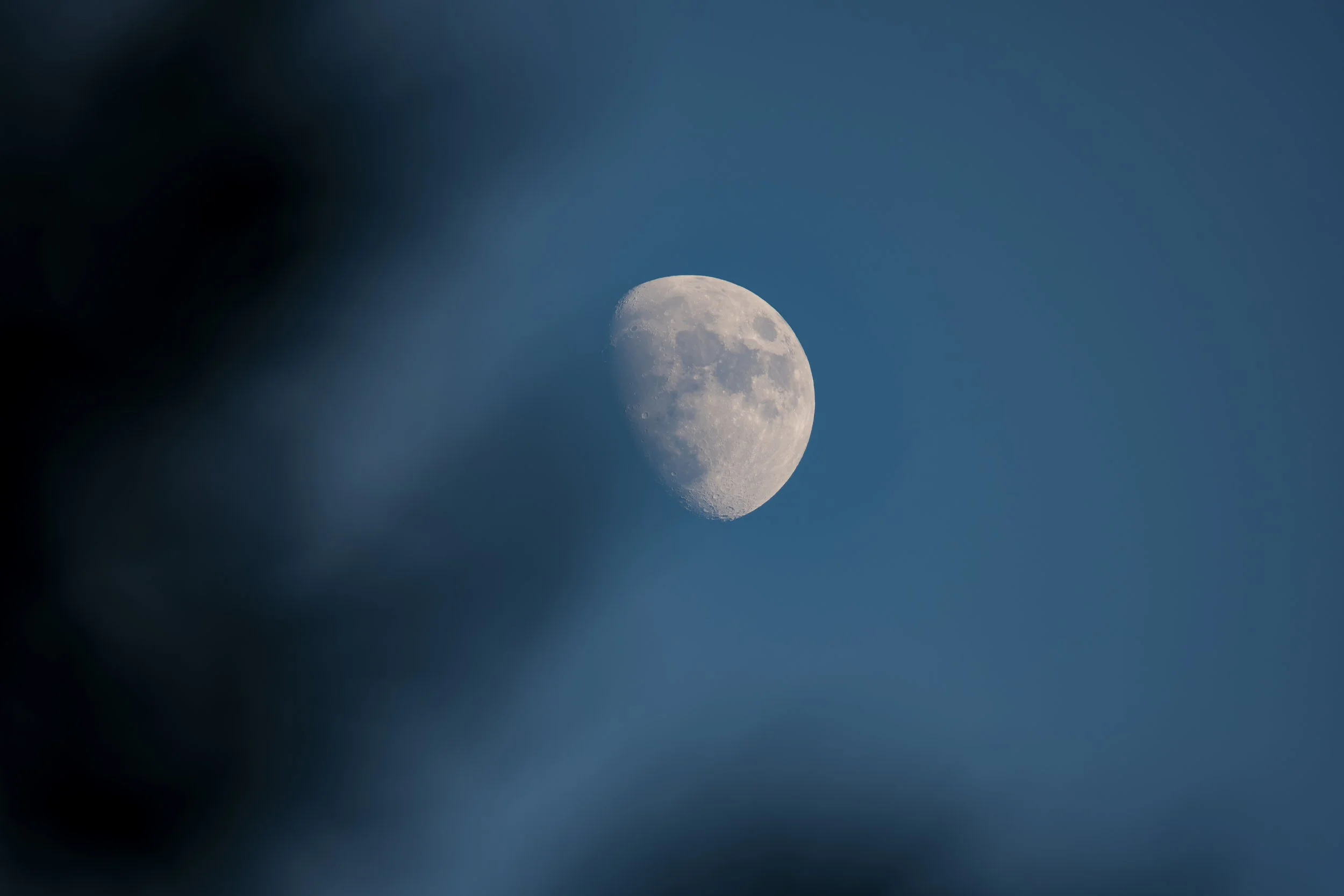 Notice how the branches change the photograph without hiding the moon.