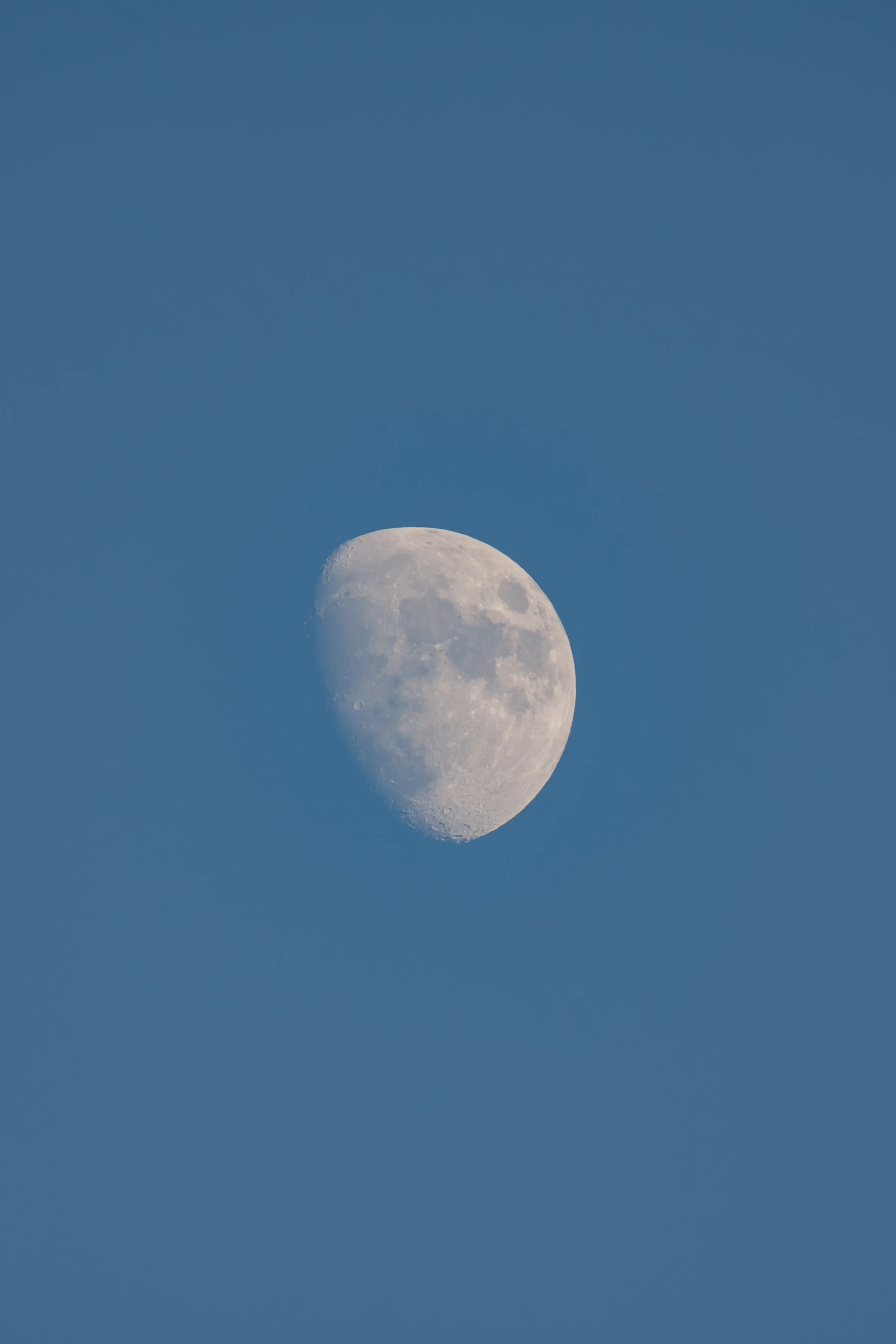 Isn't the moon beautiful?