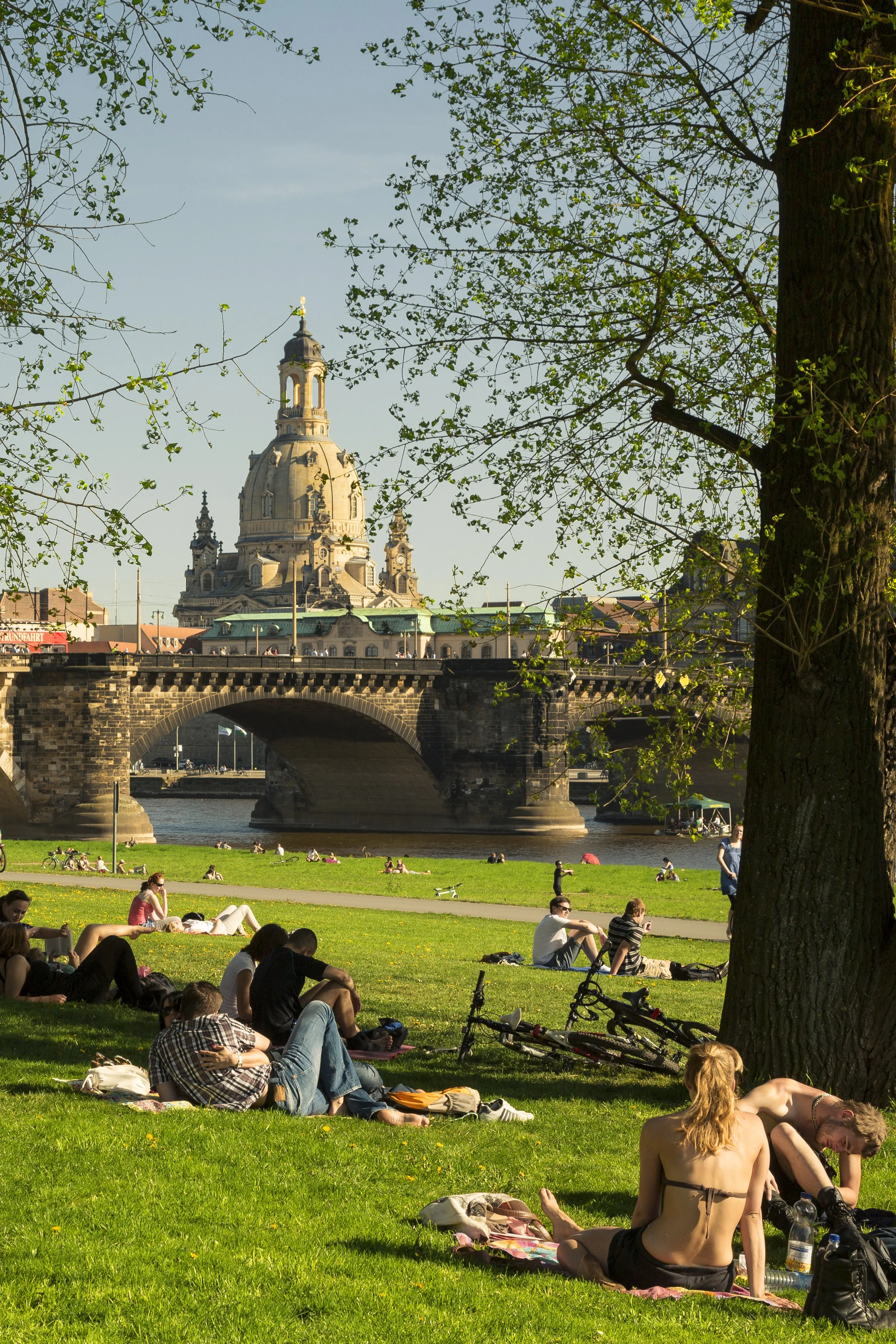 Launching the new Dresden Trust Scholars Alumni Circle