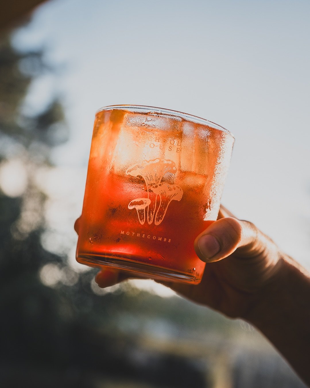 Some snaps from summer last year taken at @schoolhousedevon to remind myself that winter will pass and the sun will warm us up enough to drink bittersweet drinks again! 

#foodphotography #devon #photogrpahy
