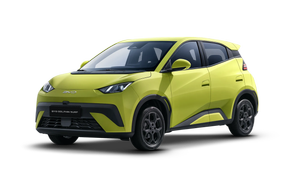 BYD Dolphin Surf