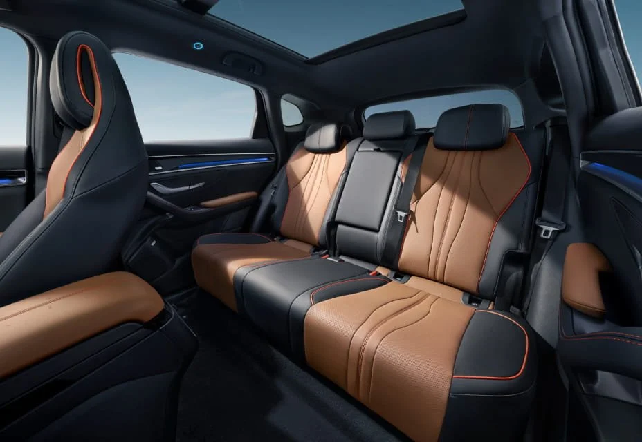 byd-seal-u-dm-i-wnetrze-tyl-byd-garcarek.jpg