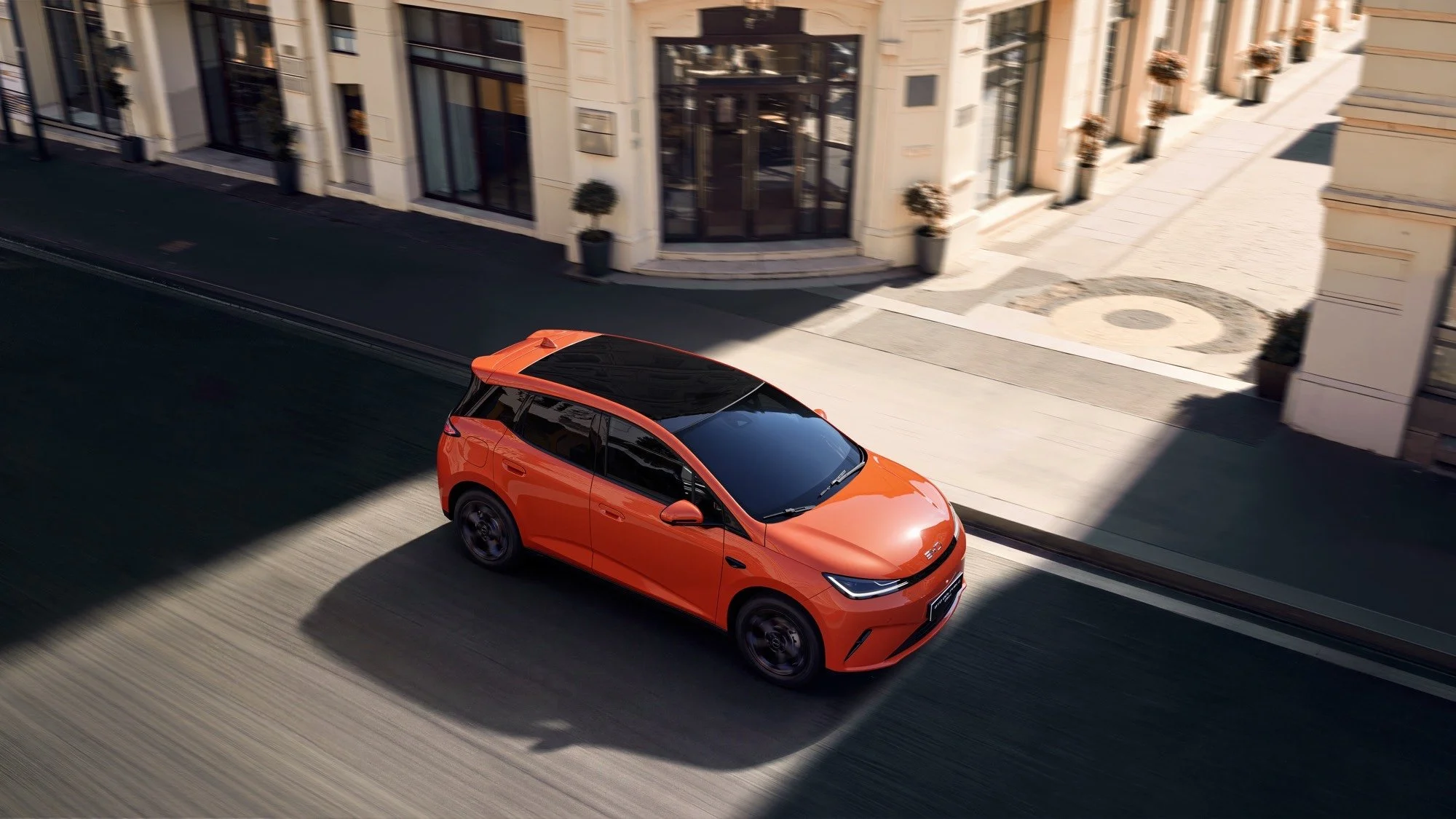 byd doplhin g podczas jazdy