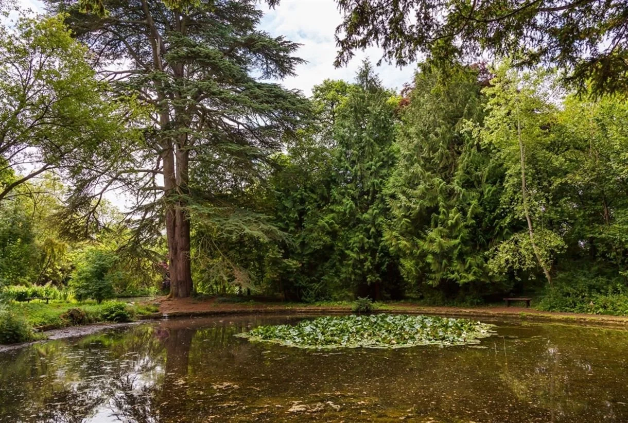 The Wild Gardens - Shipton-under-Wychwood