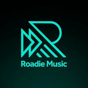 Roadie Music // Nylon Crush (Fuori Quadro Sessions) | PUNTACAVA anuncia single instrumental que captura a sua química