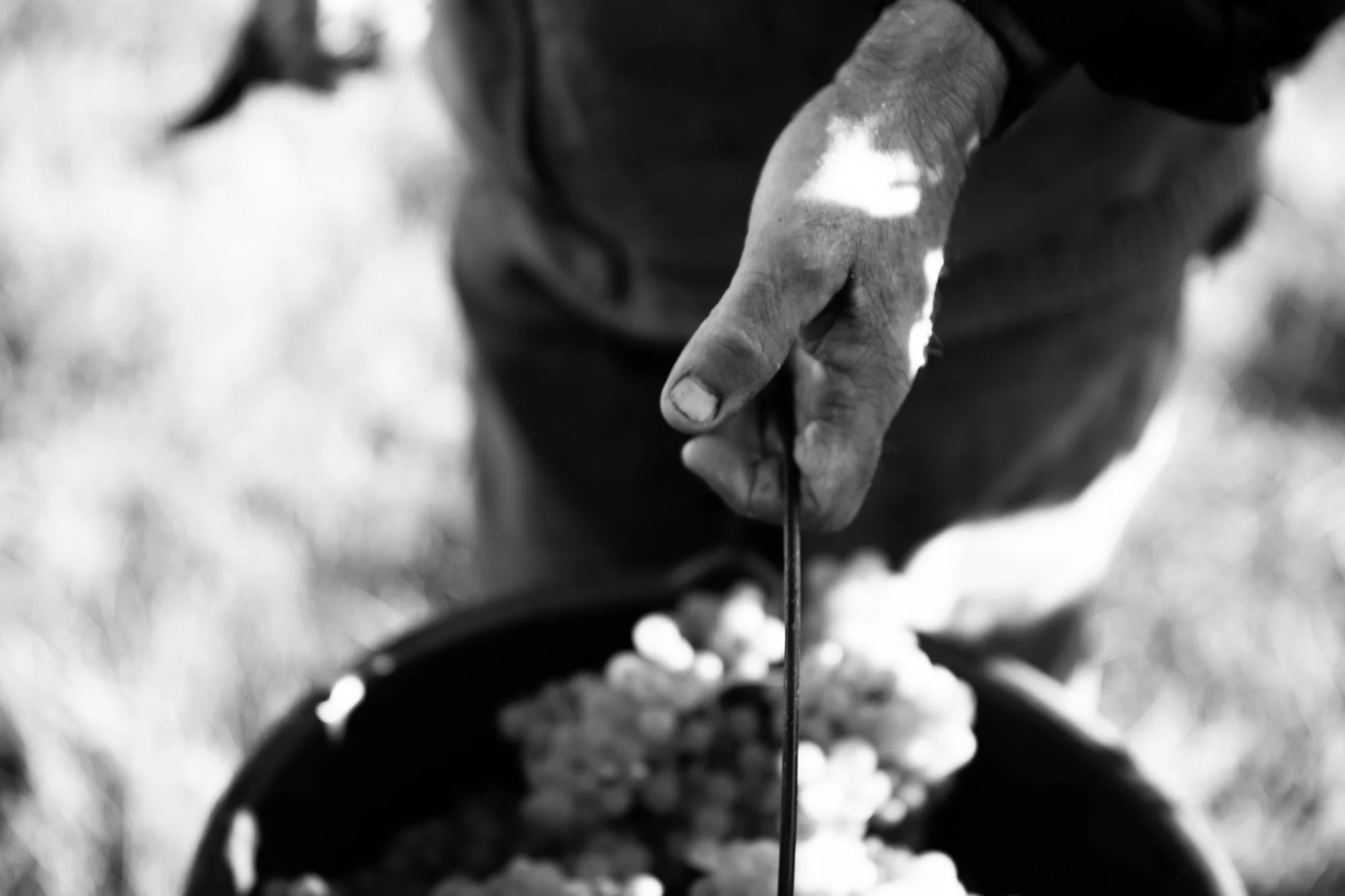 photographe-metier-artisan-travail-4.jpg