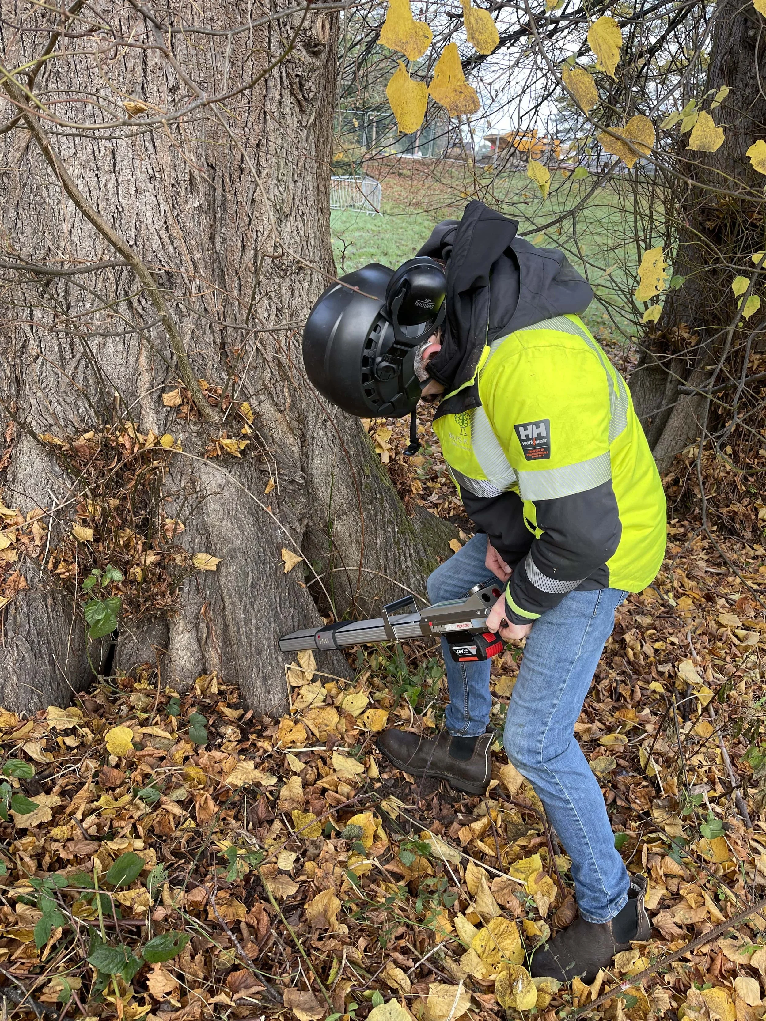 Independent UK tree risk assessments and management advice for ...